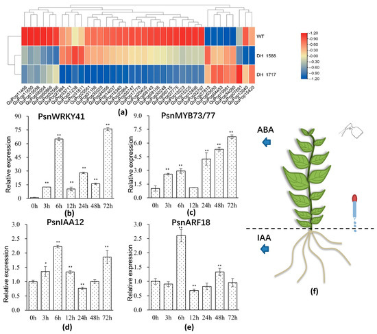 Forests 14 01535 g005