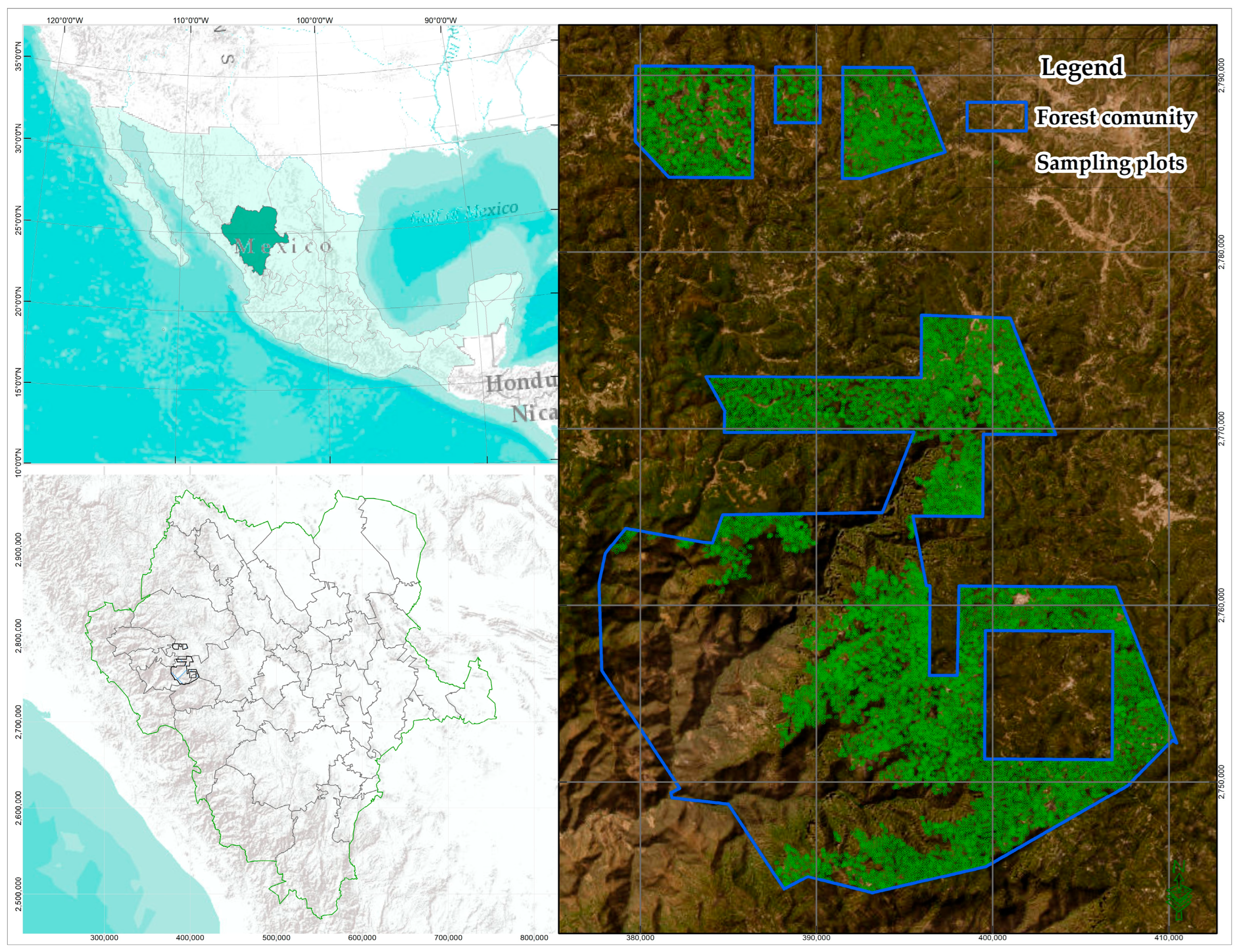 Forests 14 01544 g001