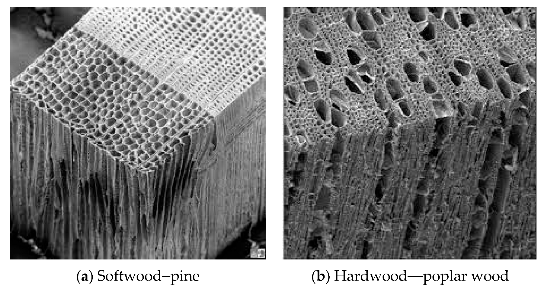 Forests 14 01545 g003