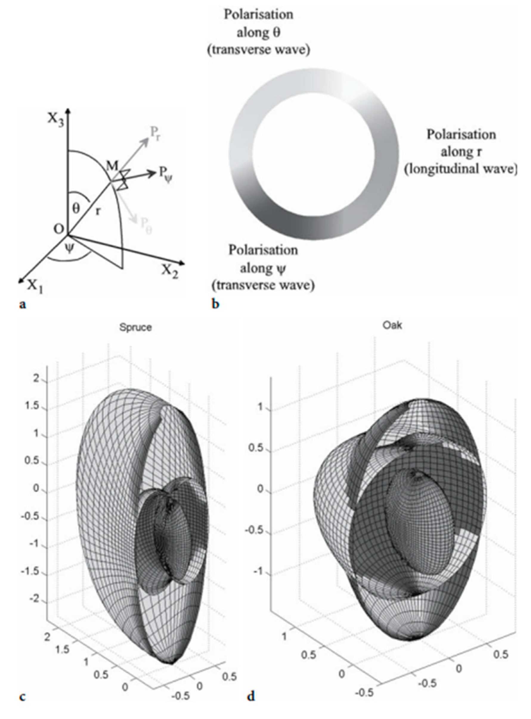 Forests 14 01545 g007