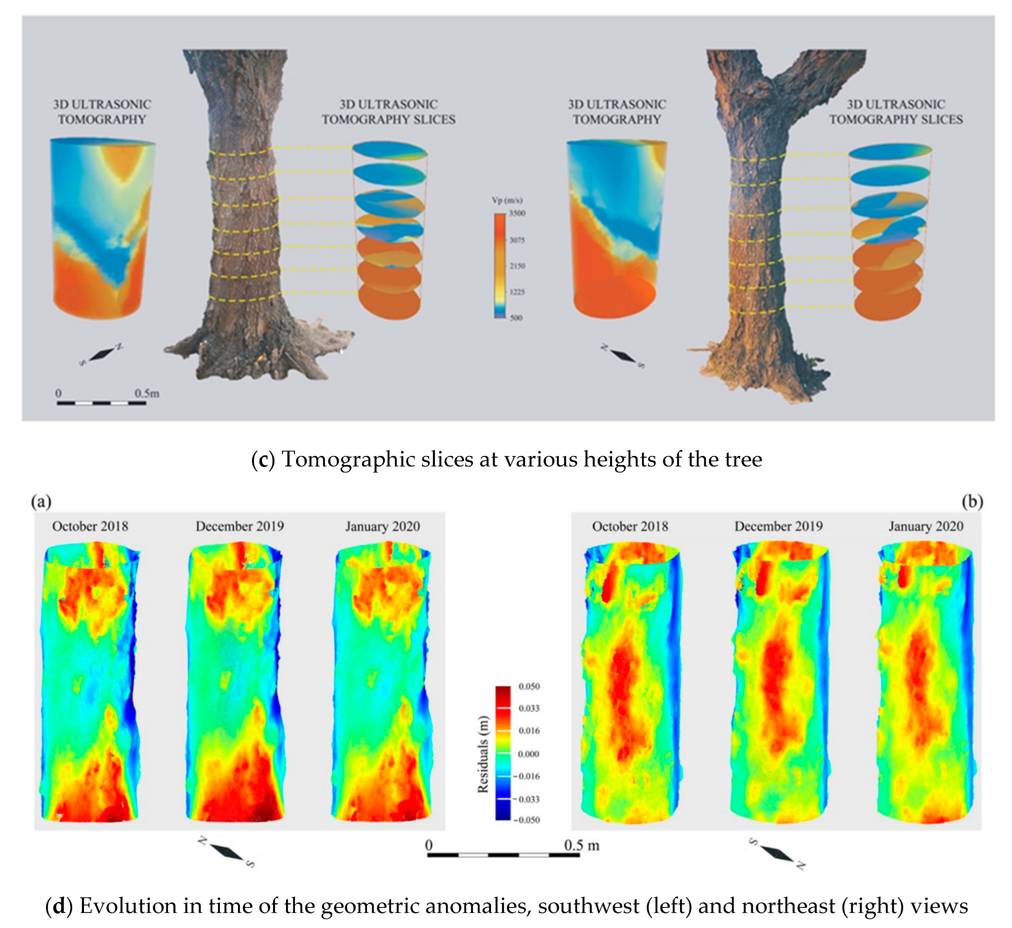Forests 14 01545 g012b
