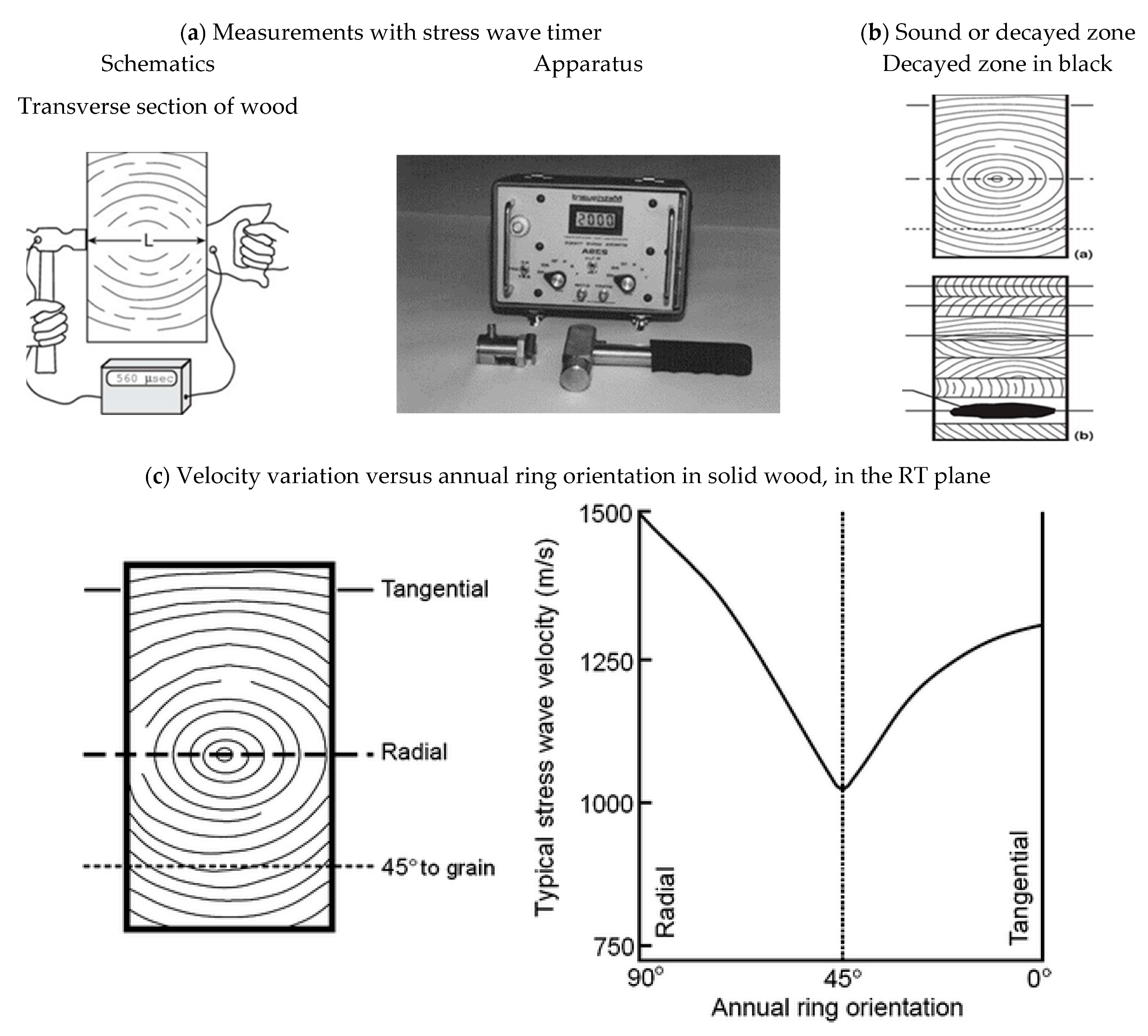 Forests 14 01545 g026