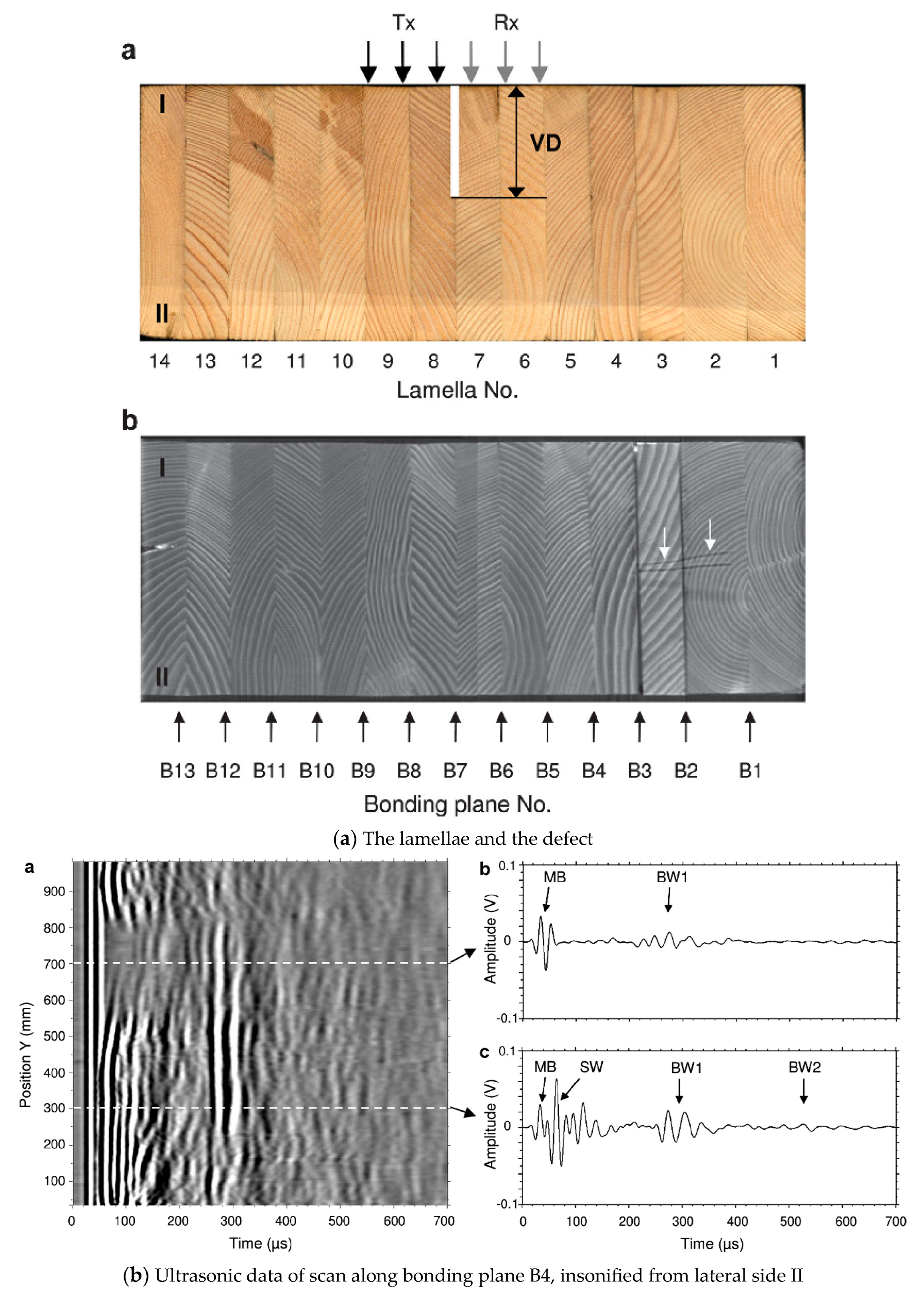 Forests 14 01545 g028a