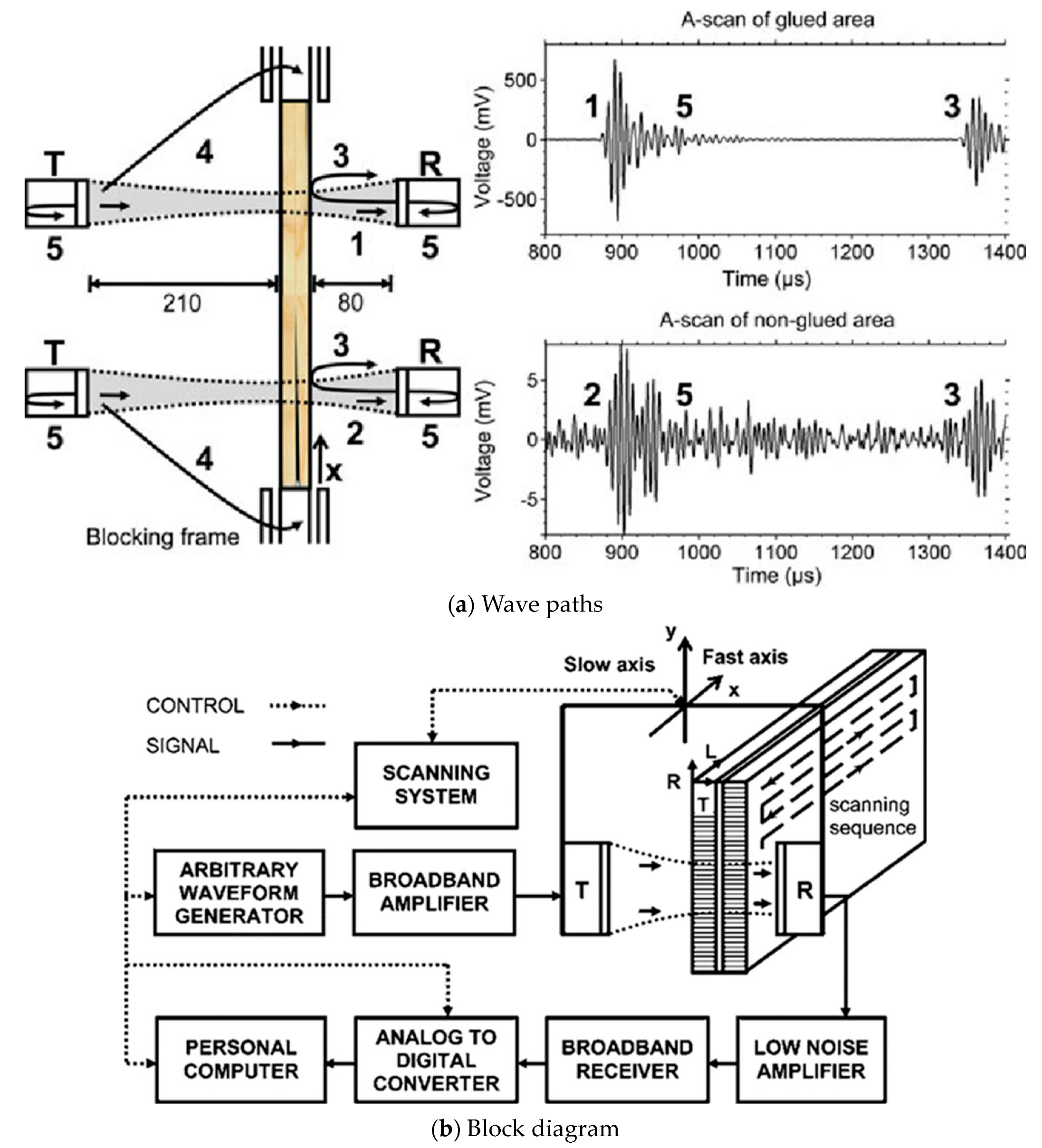 Forests 14 01545 g031