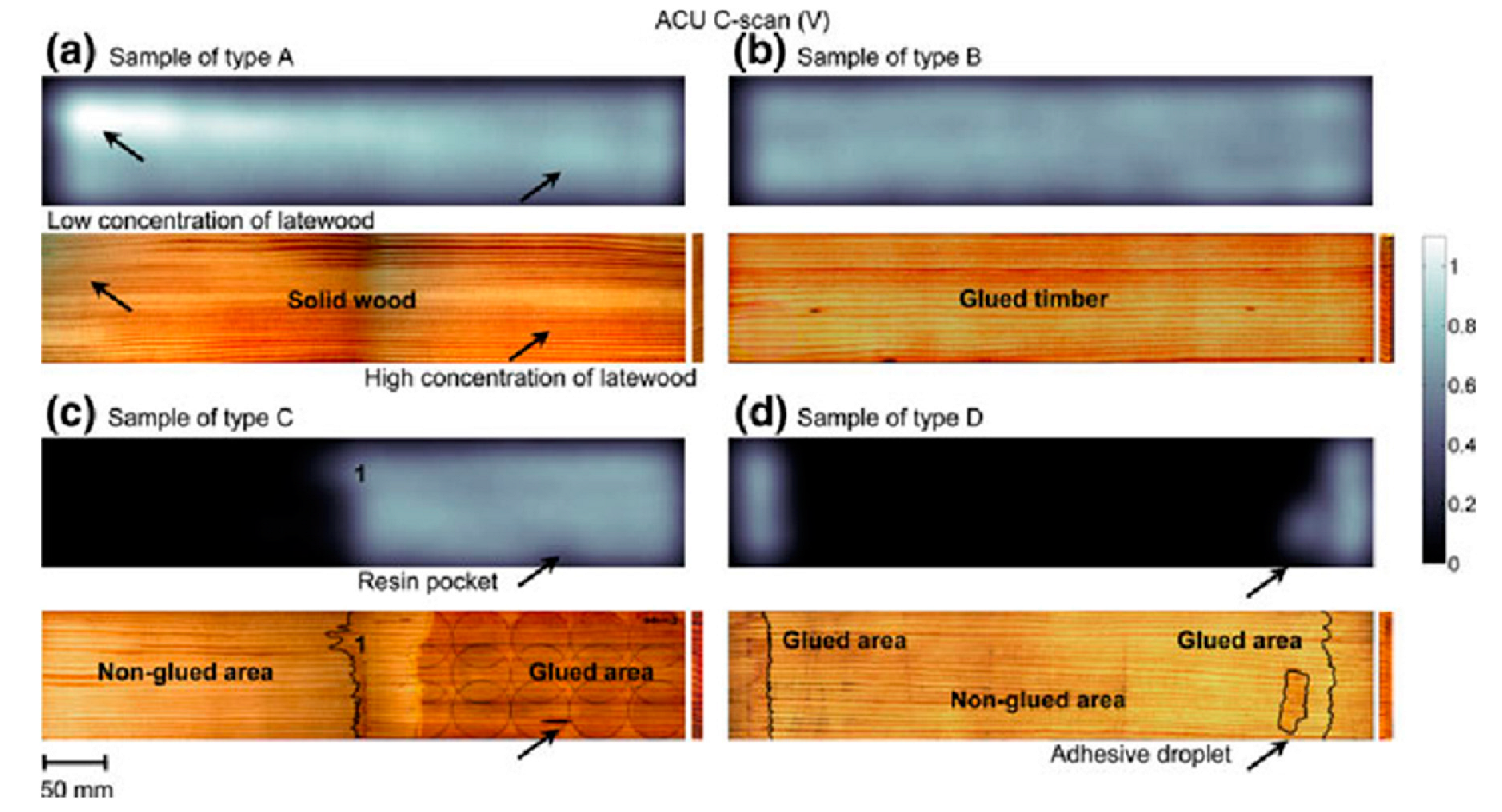 Forests 14 01545 g032