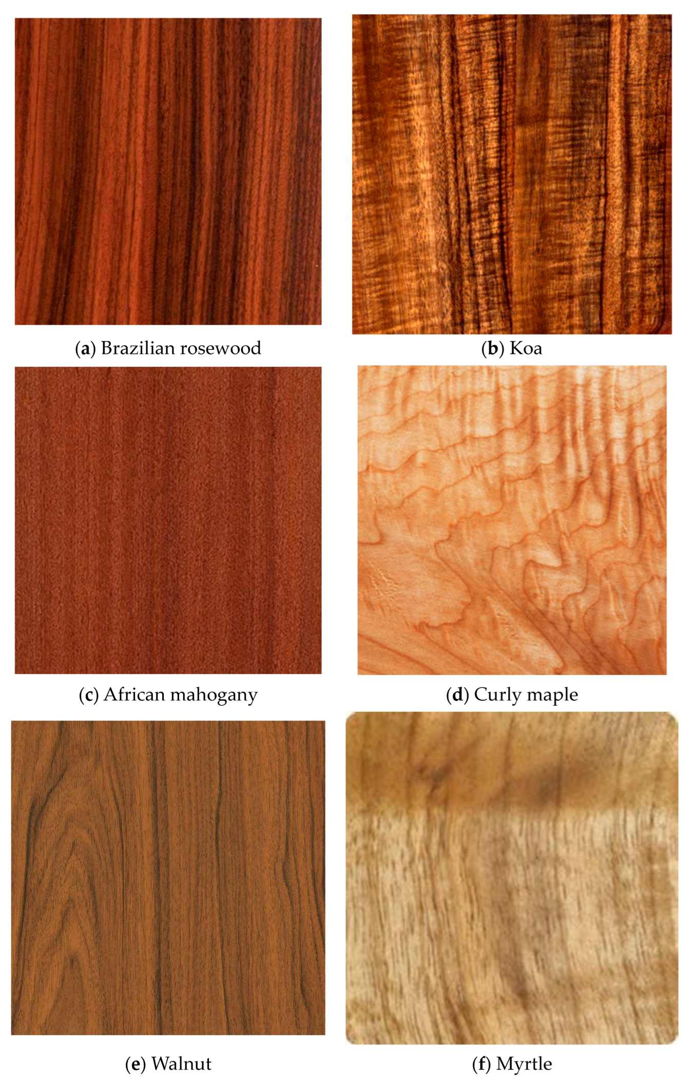 Forests 14 01545 g043