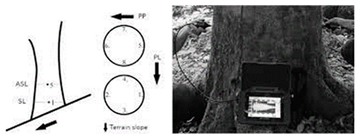 Forests 14 01545 i003