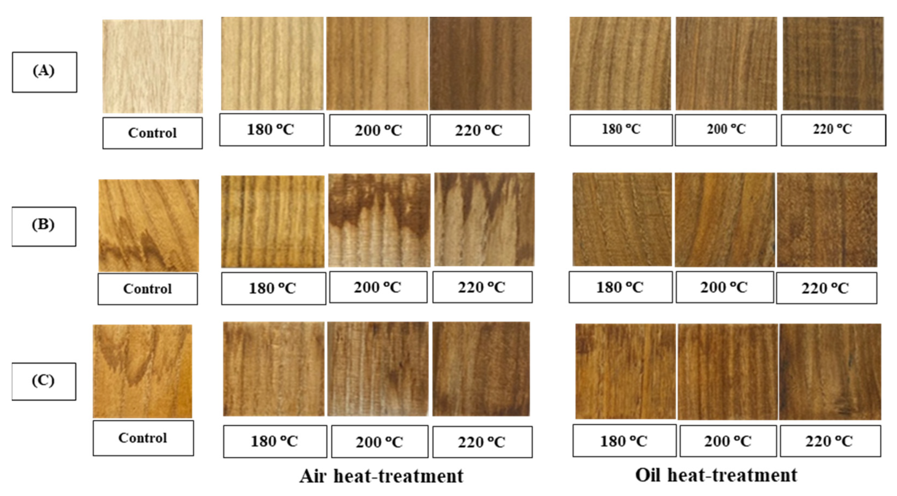 Forests 14 01546 g002 Forests 14 01546 g002