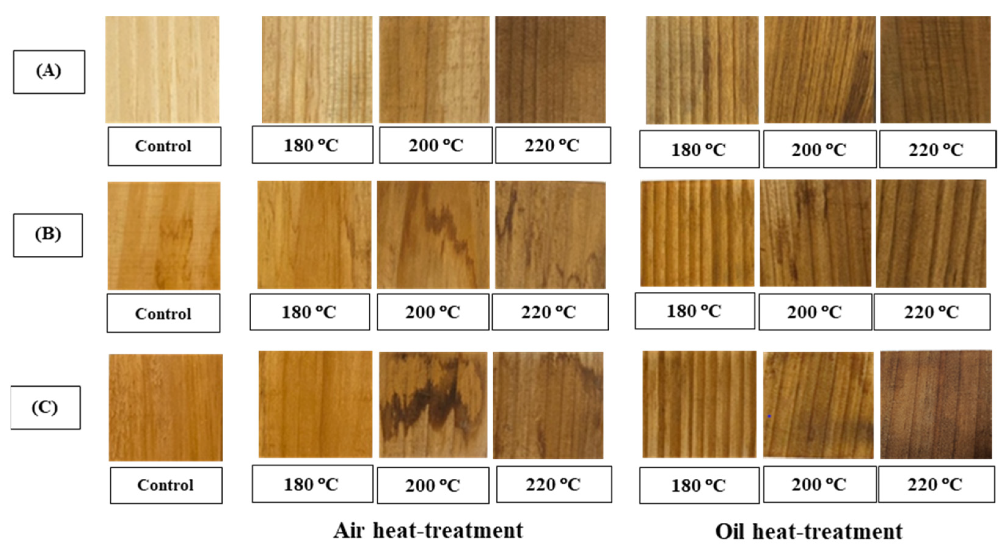 Forests 14 01546 g003 Forests 14 01546 g003