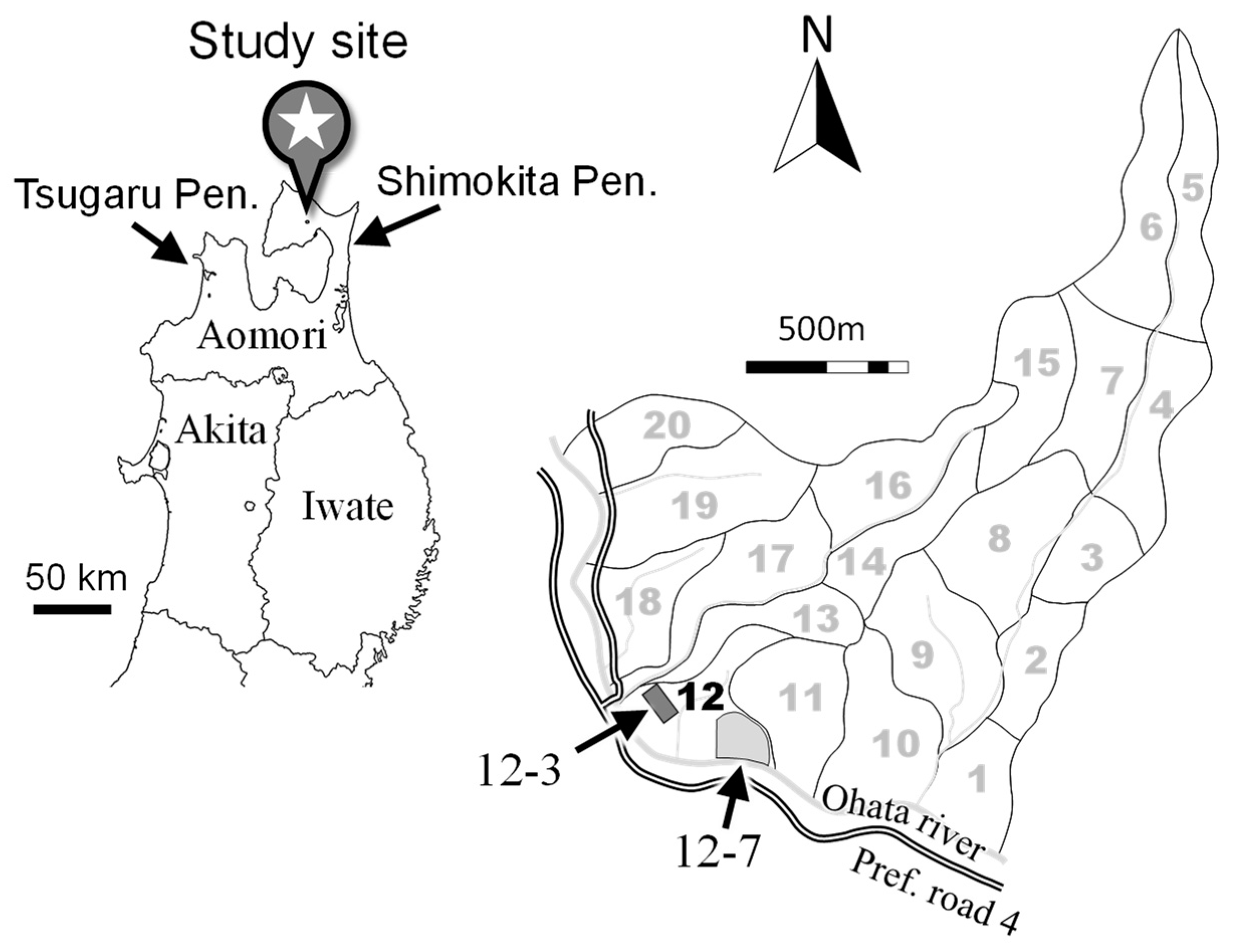 Forests 14 01556 g001