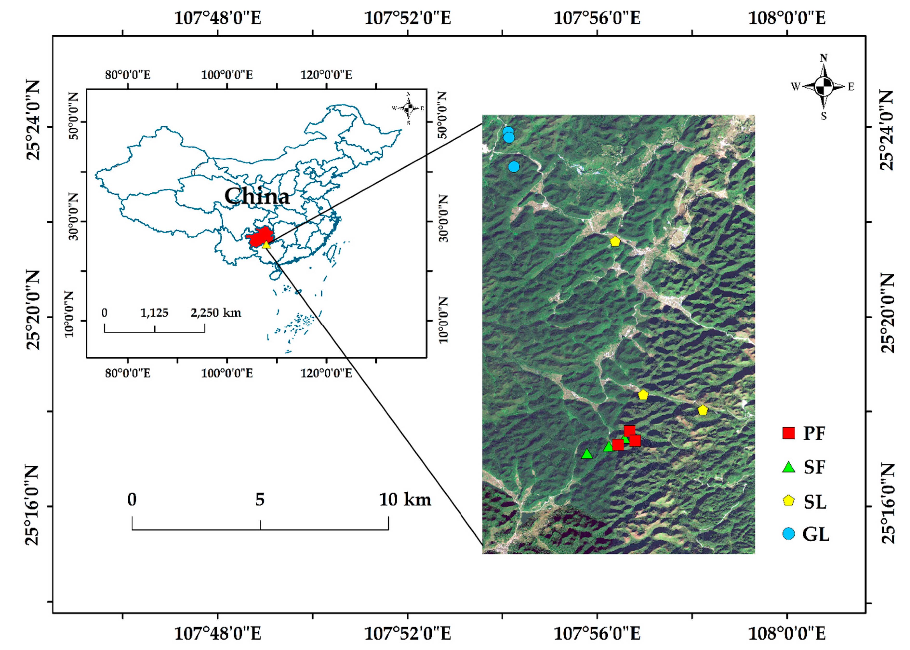 Forests 14 01562 g001 Forests 14 01562 g001