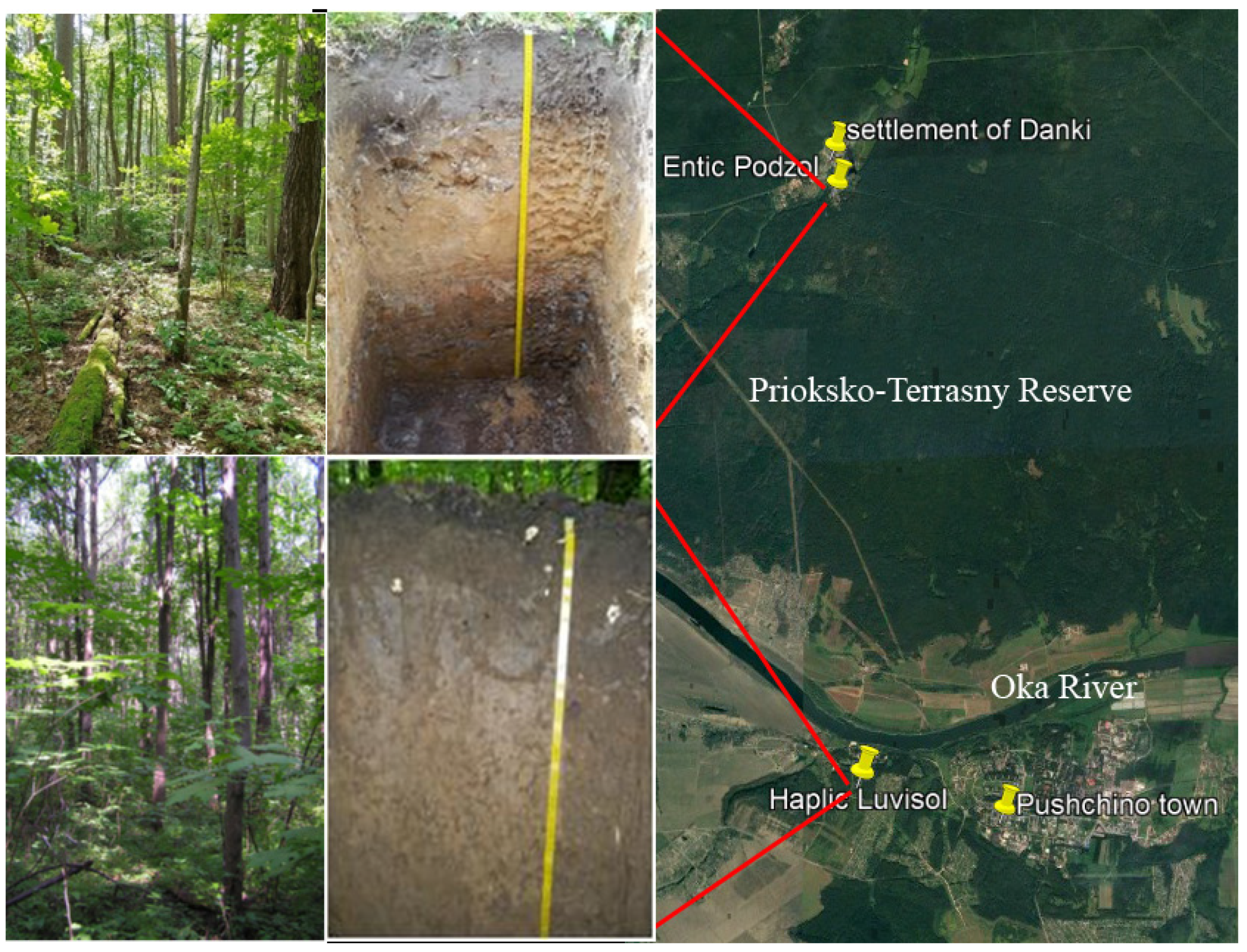 Forests 14 01568 g001