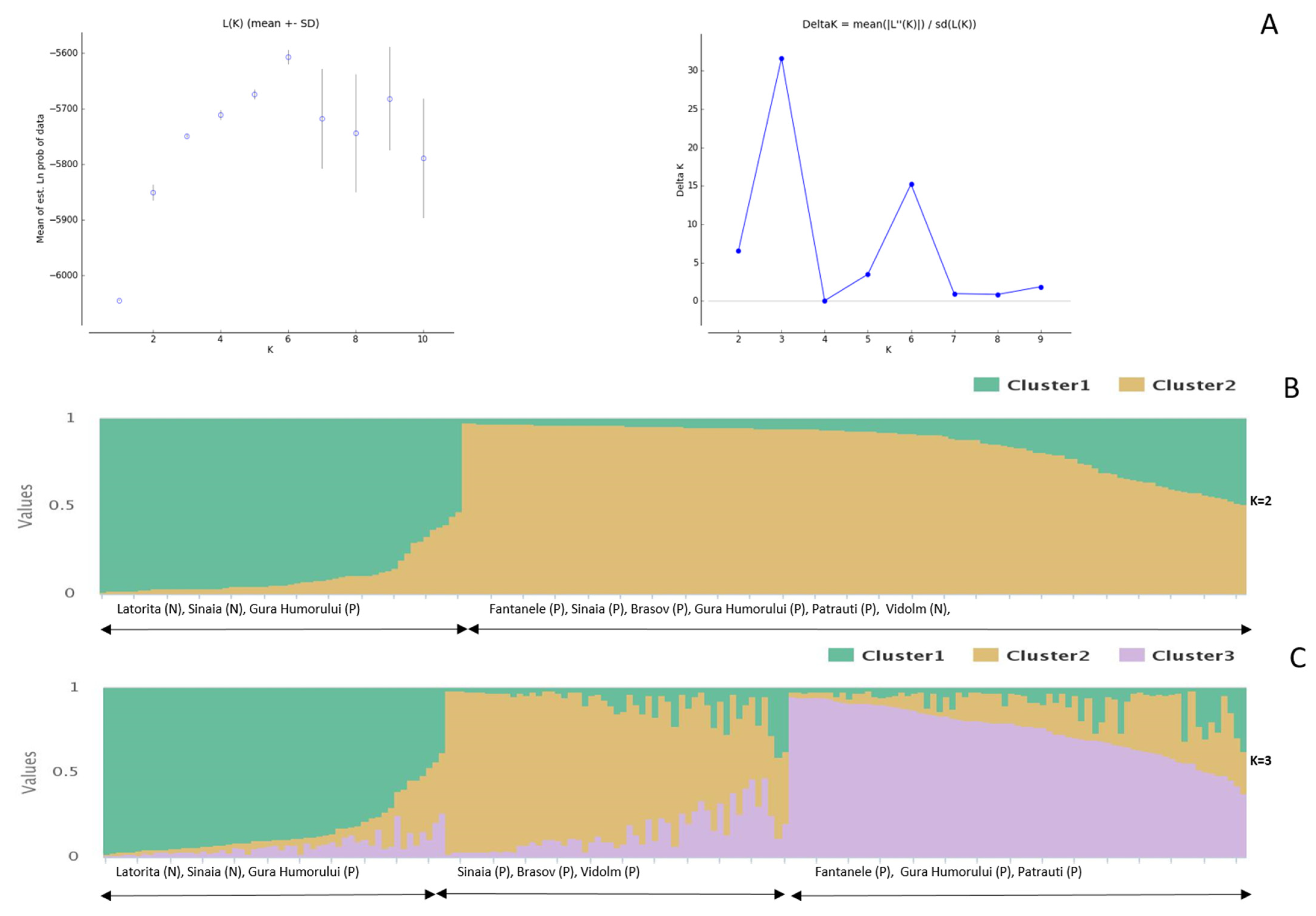 Forests 14 01575 g001 Forests 14 01575 g001
