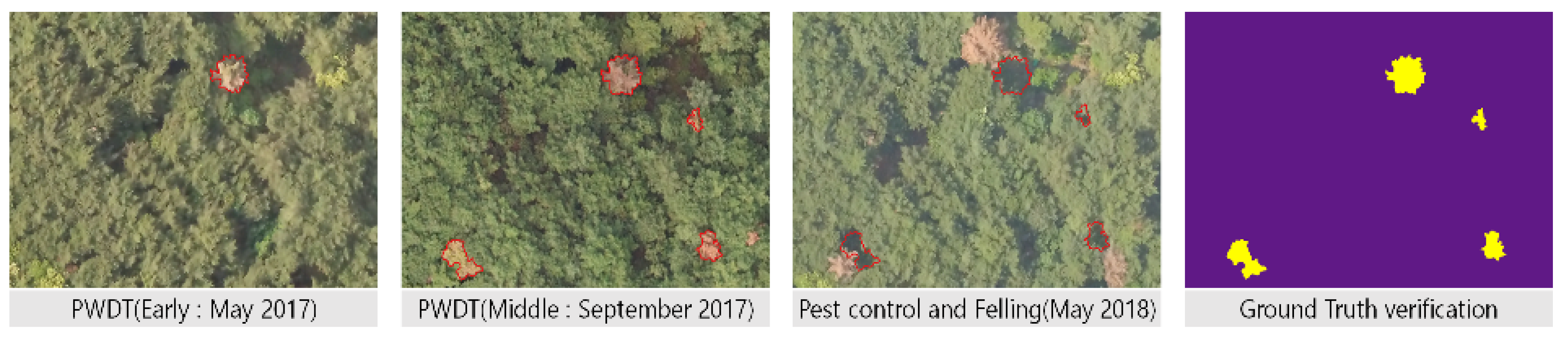 Forests 14 01576 g002 Forests 14 01576 g002