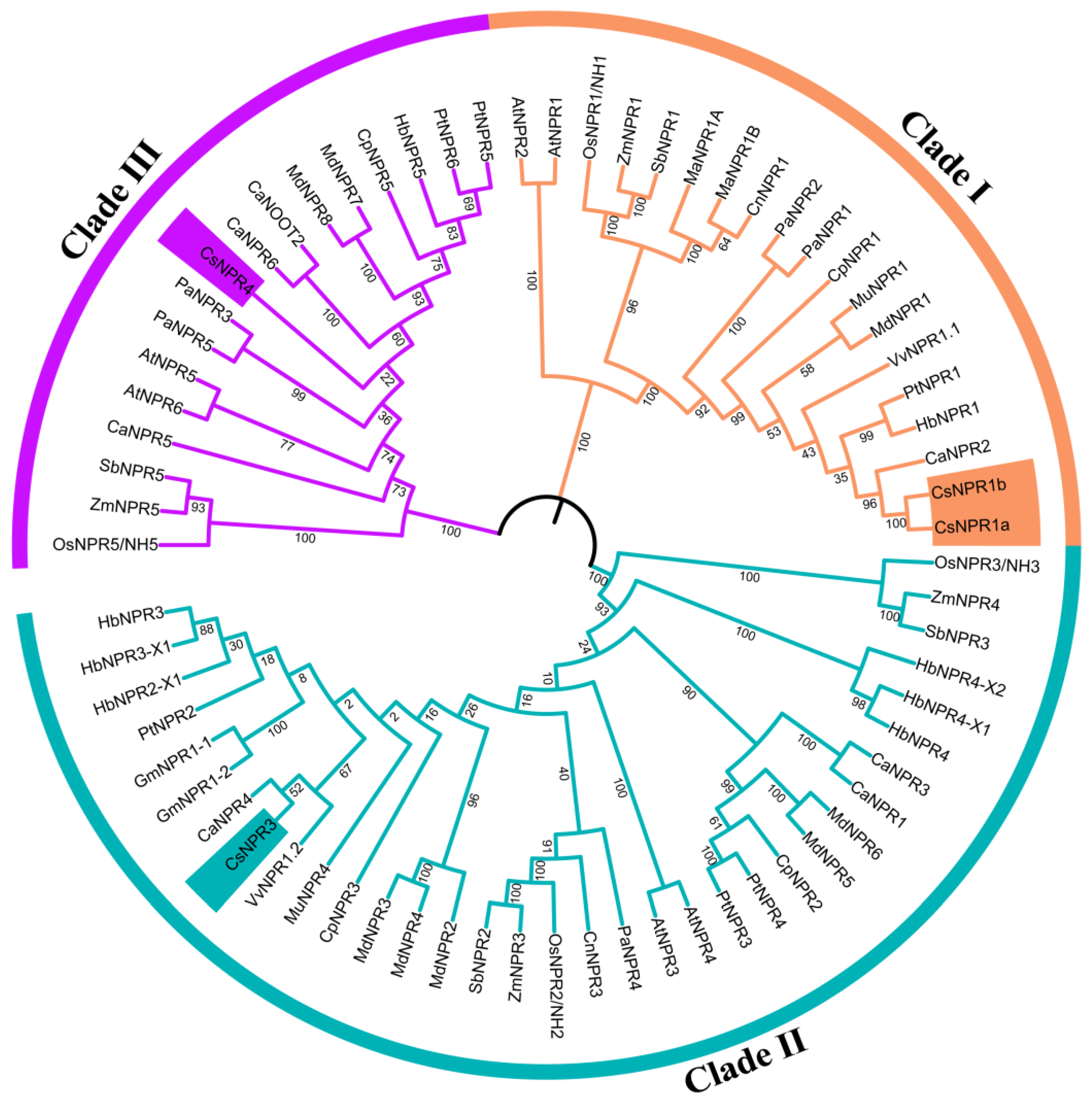 Forests 14 01578 g002 Forests 14 01578 g002