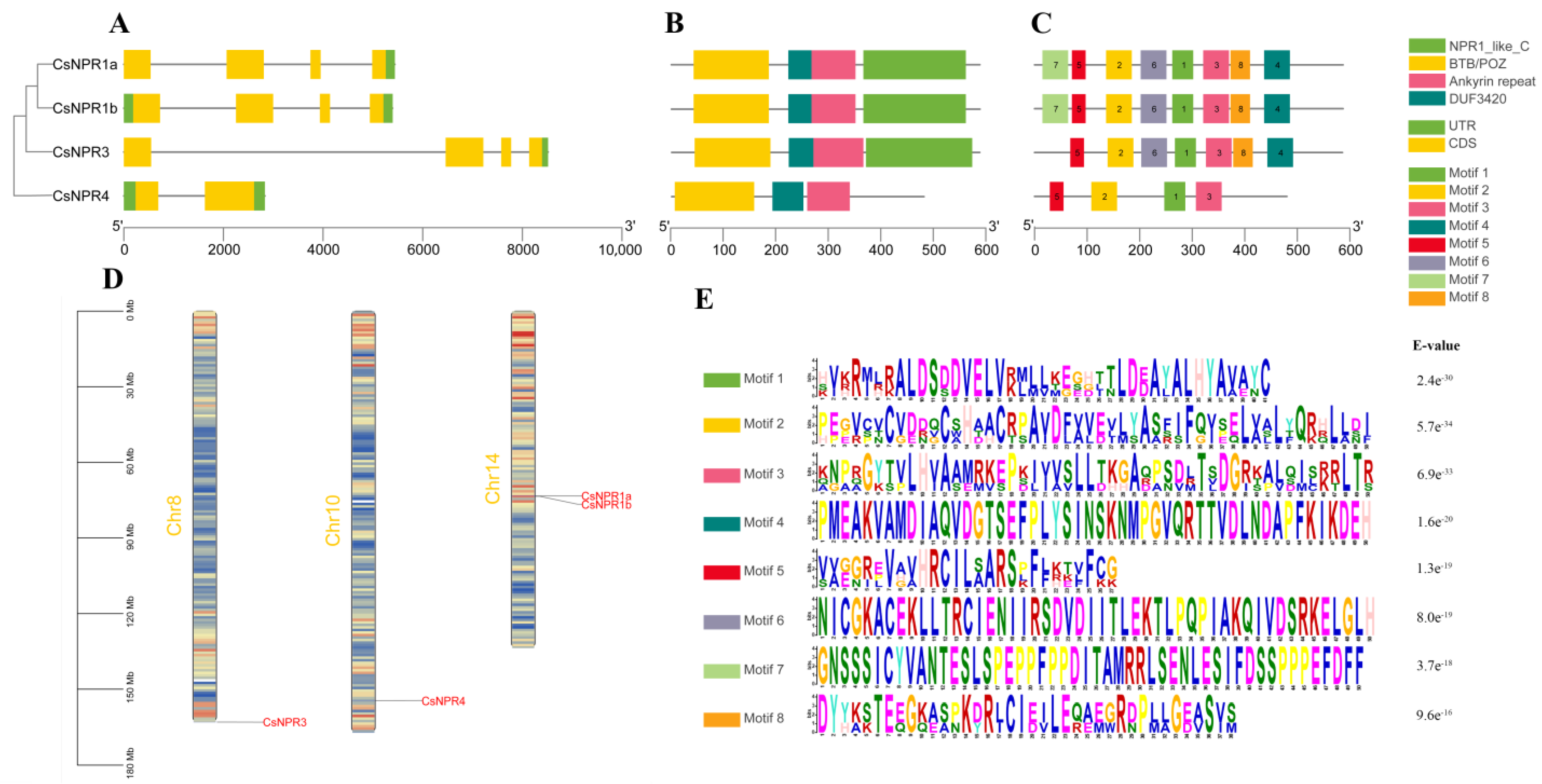 Forests 14 01578 g003 Forests 14 01578 g003