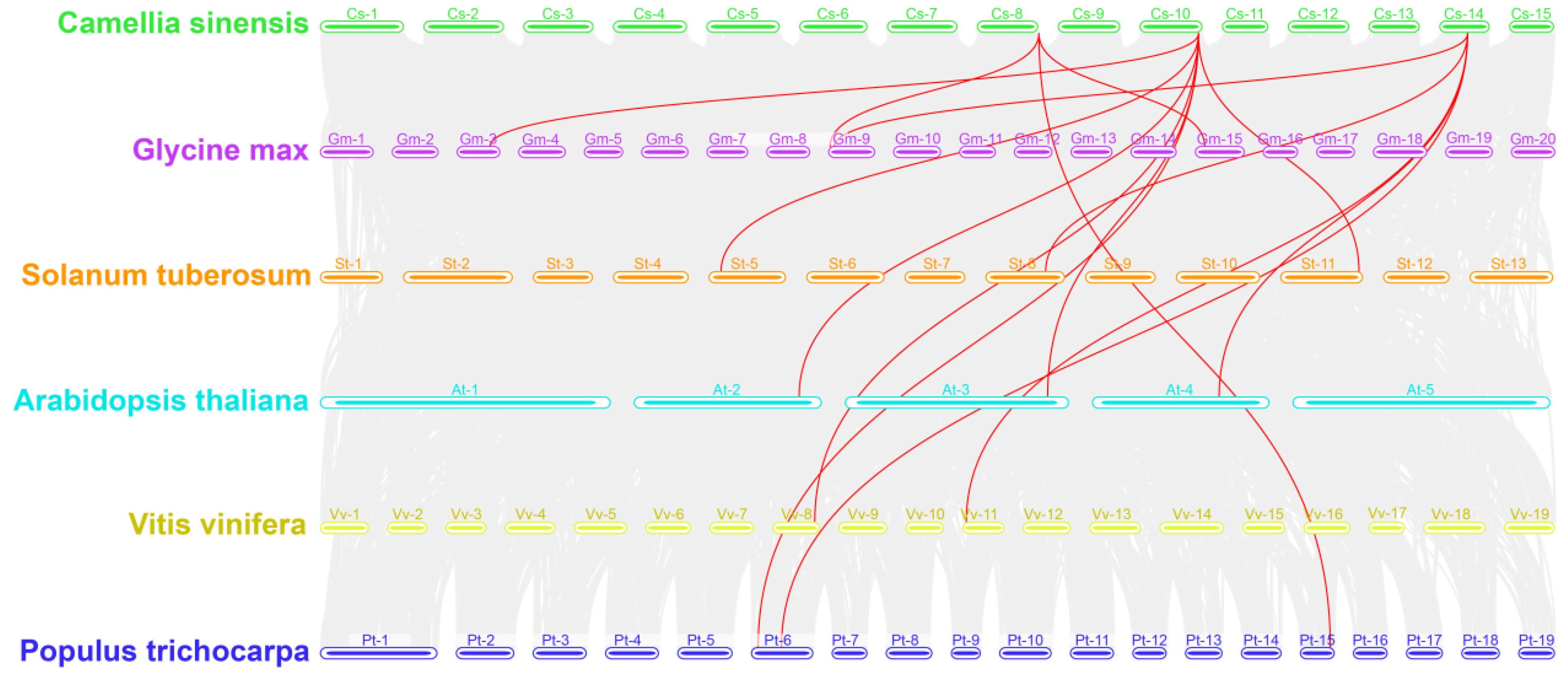 Forests 14 01578 g004 Forests 14 01578 g004