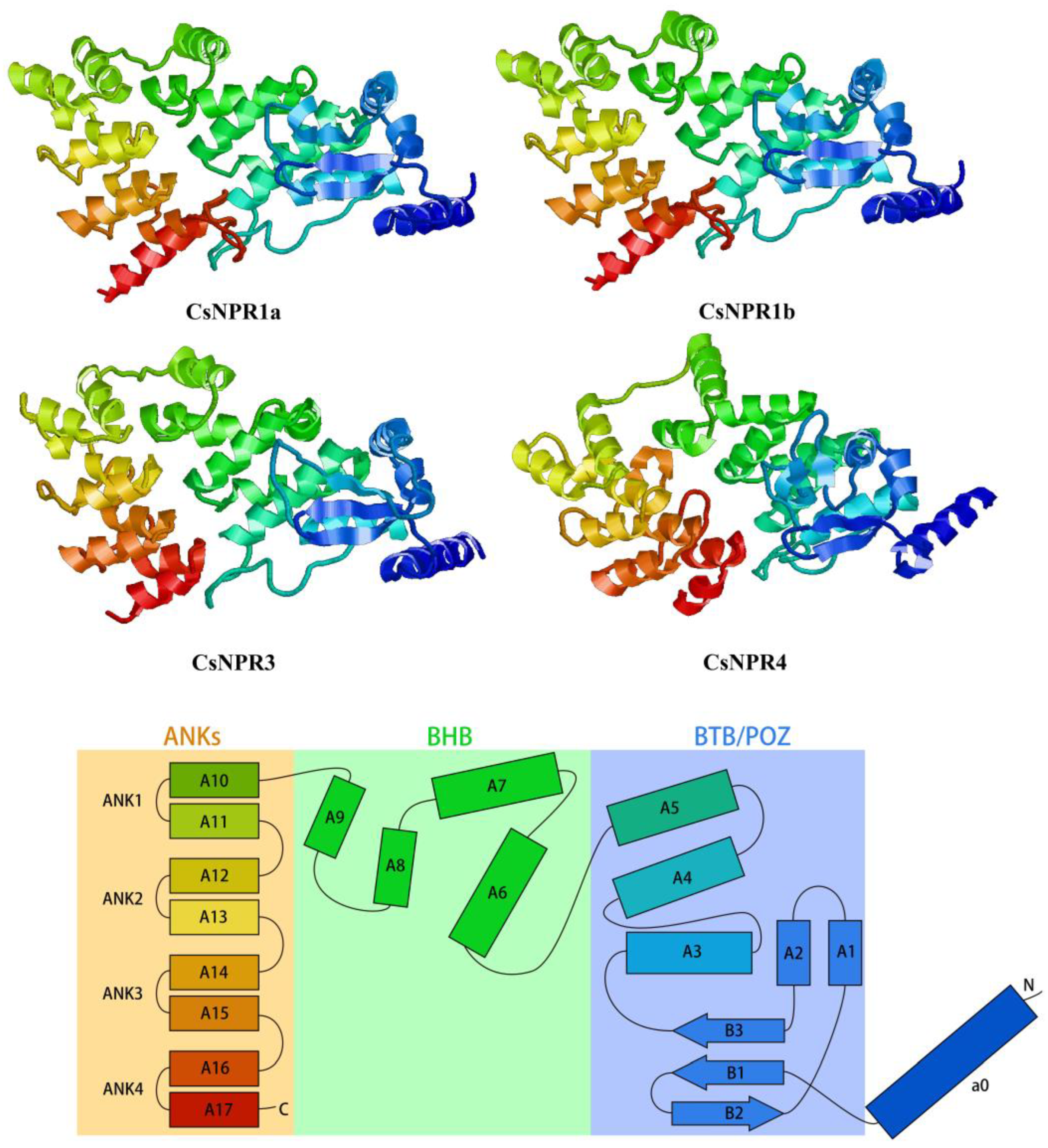 Forests 14 01578 g006 Forests 14 01578 g006