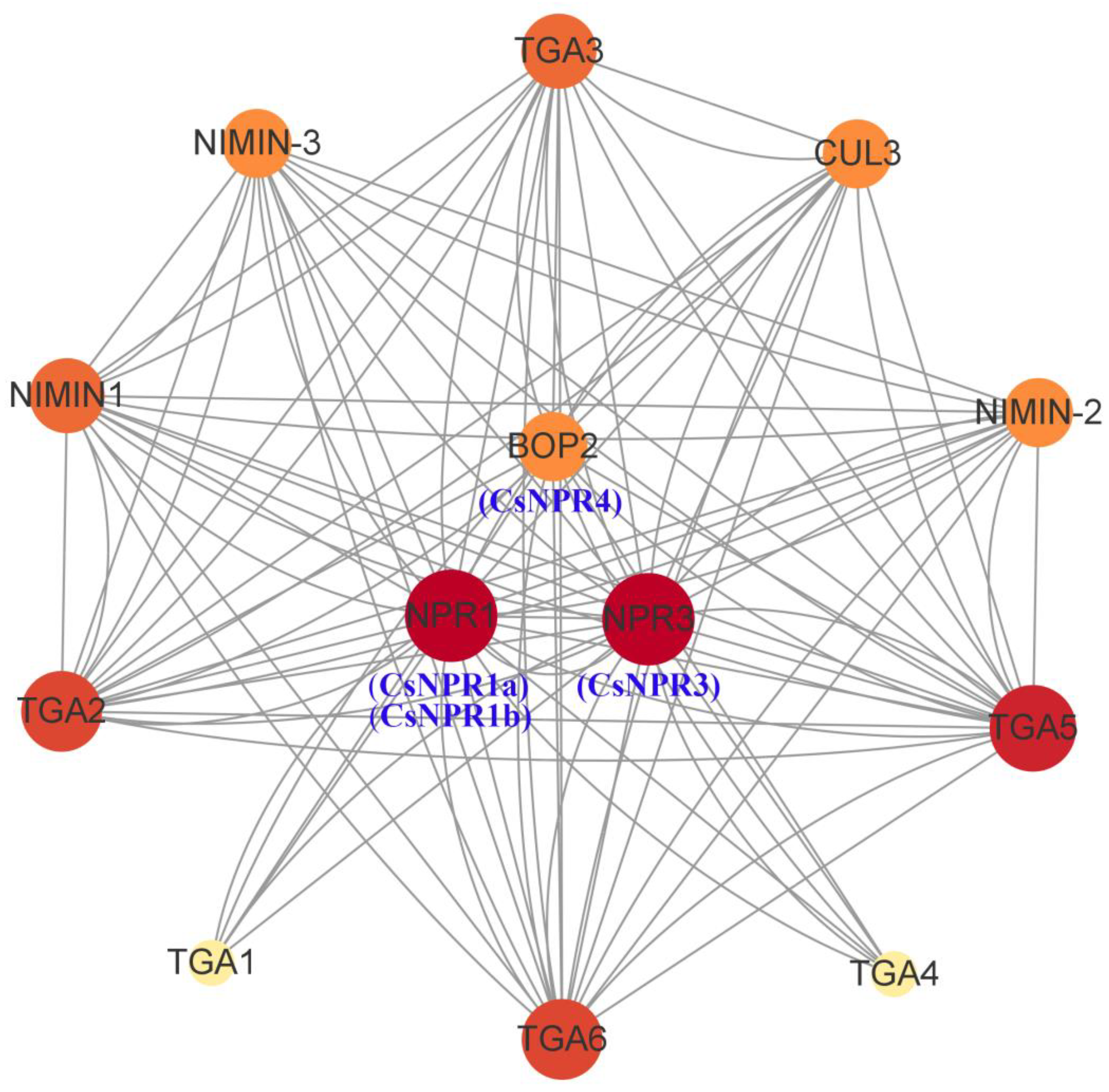 Forests 14 01578 g007 Forests 14 01578 g007