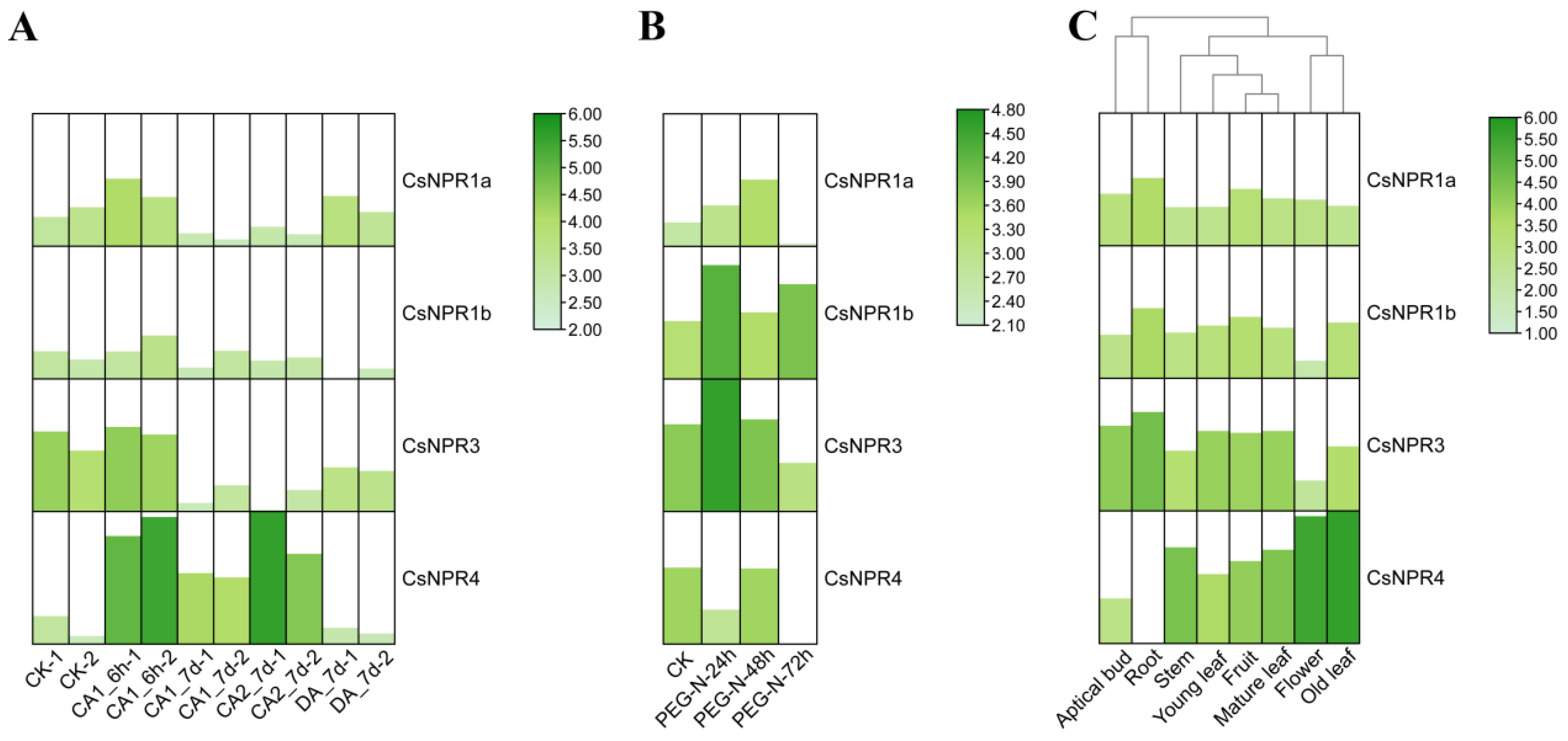 Forests 14 01578 g008 Forests 14 01578 g008