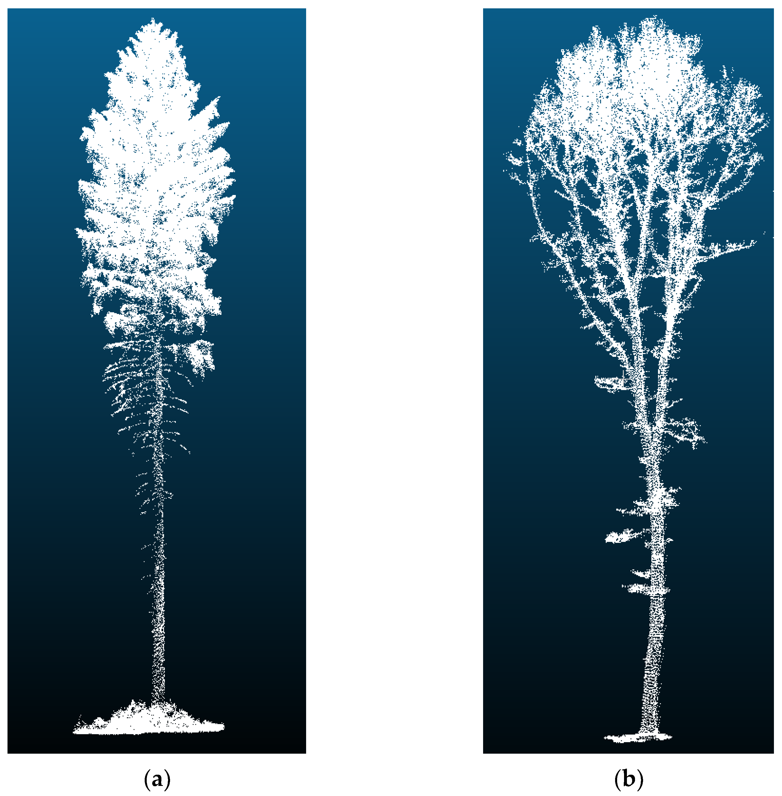 Forests 14 01581 g005