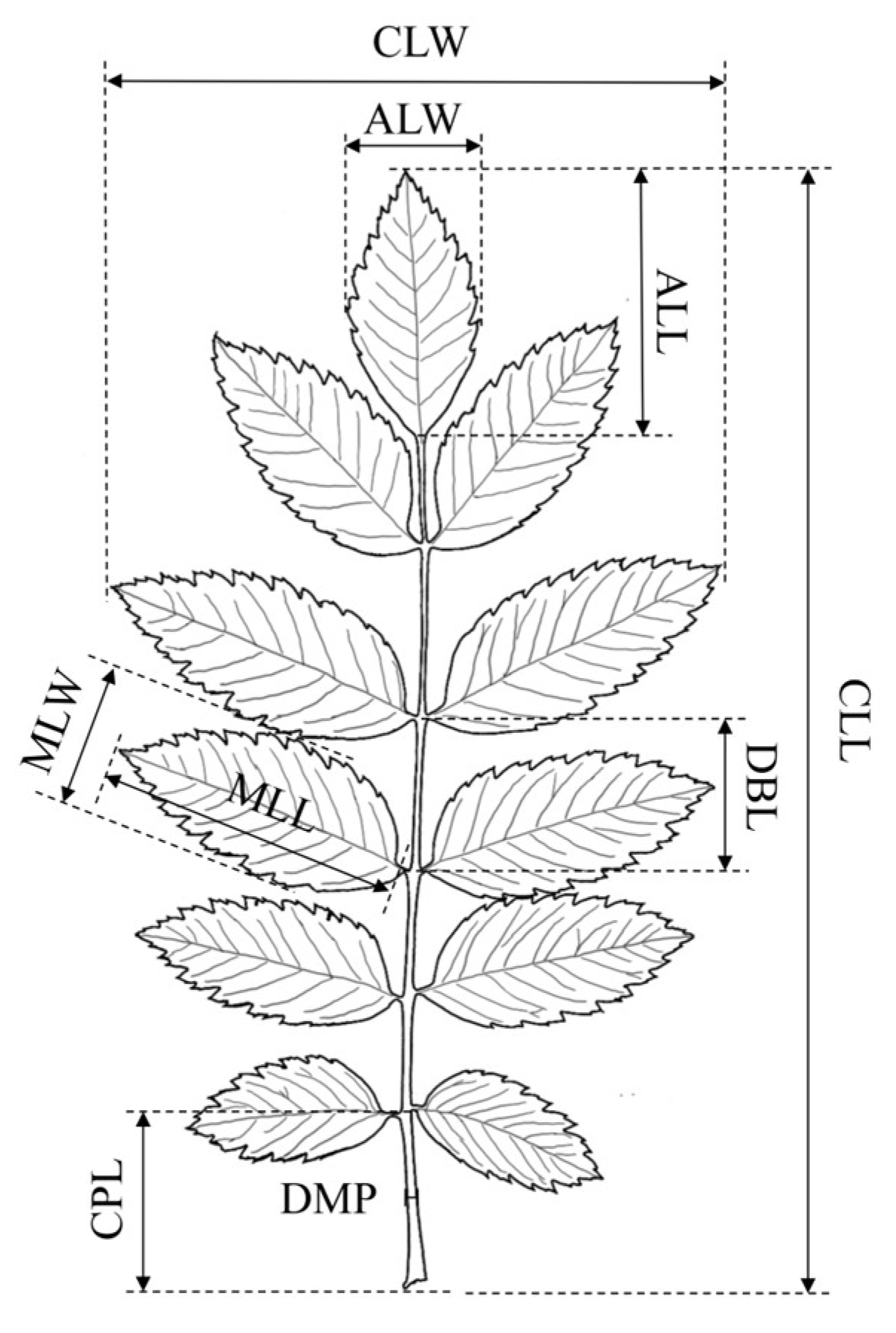 Forests 14 01589 g001
