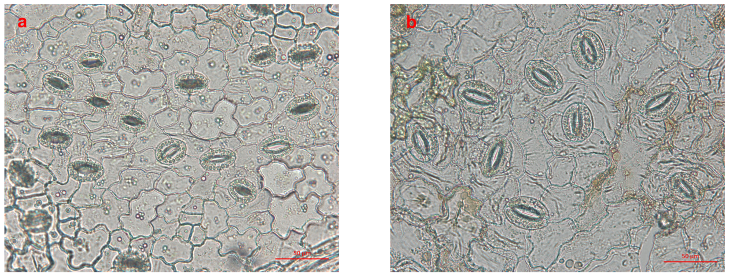 Forests 14 01589 g003