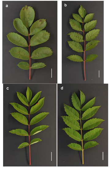 Forests 14 01589 g0a1