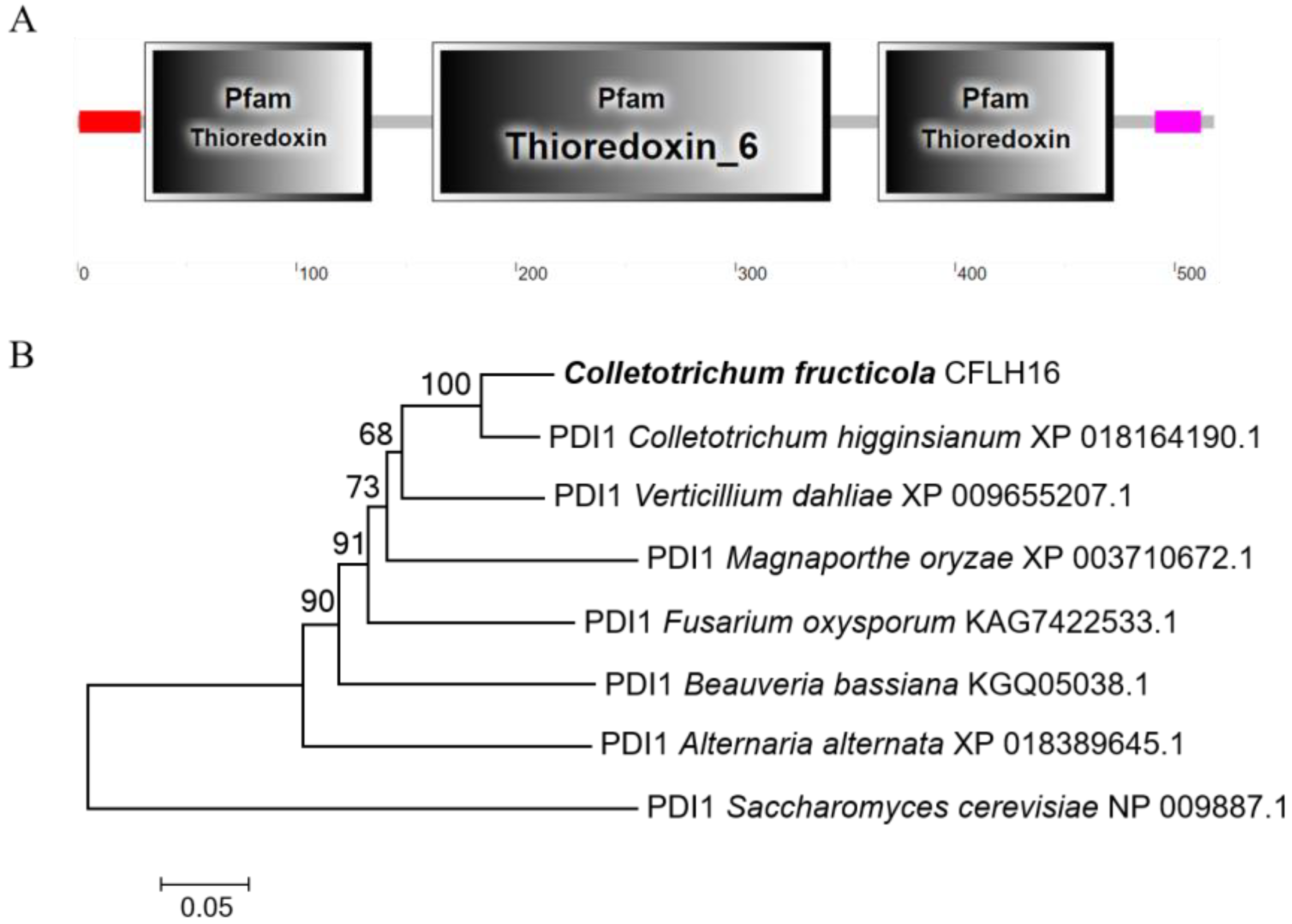 Forests 14 01597 g002