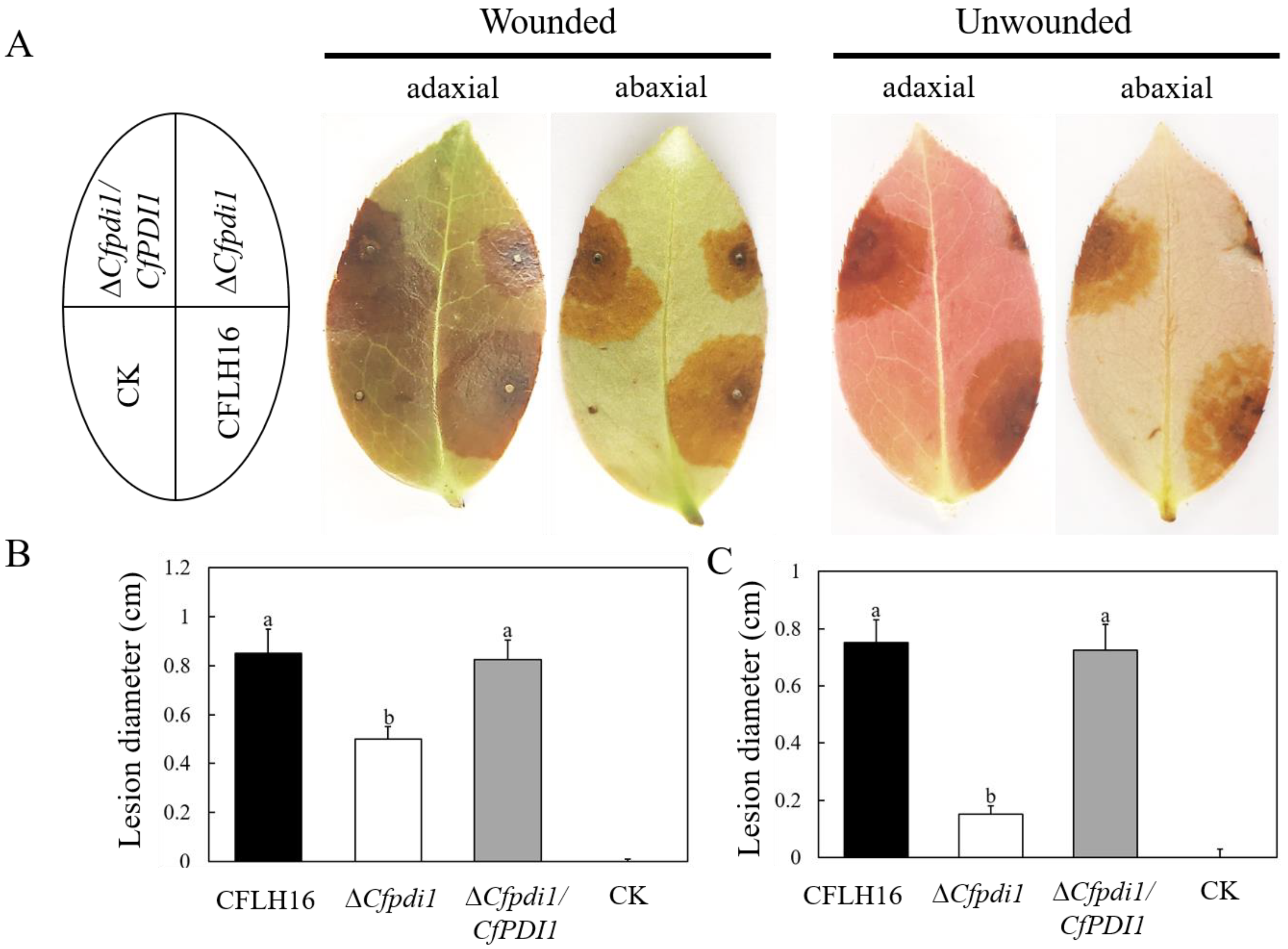 Forests 14 01597 g005