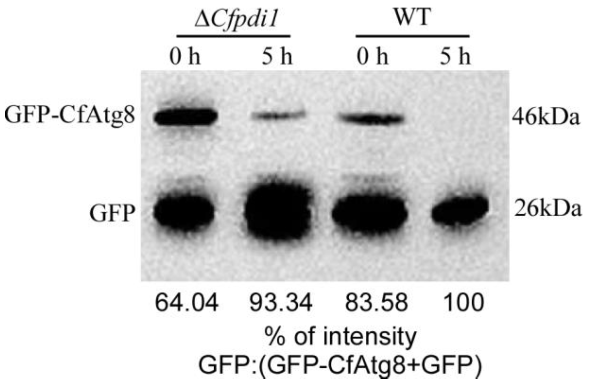 Forests 14 01597 g007