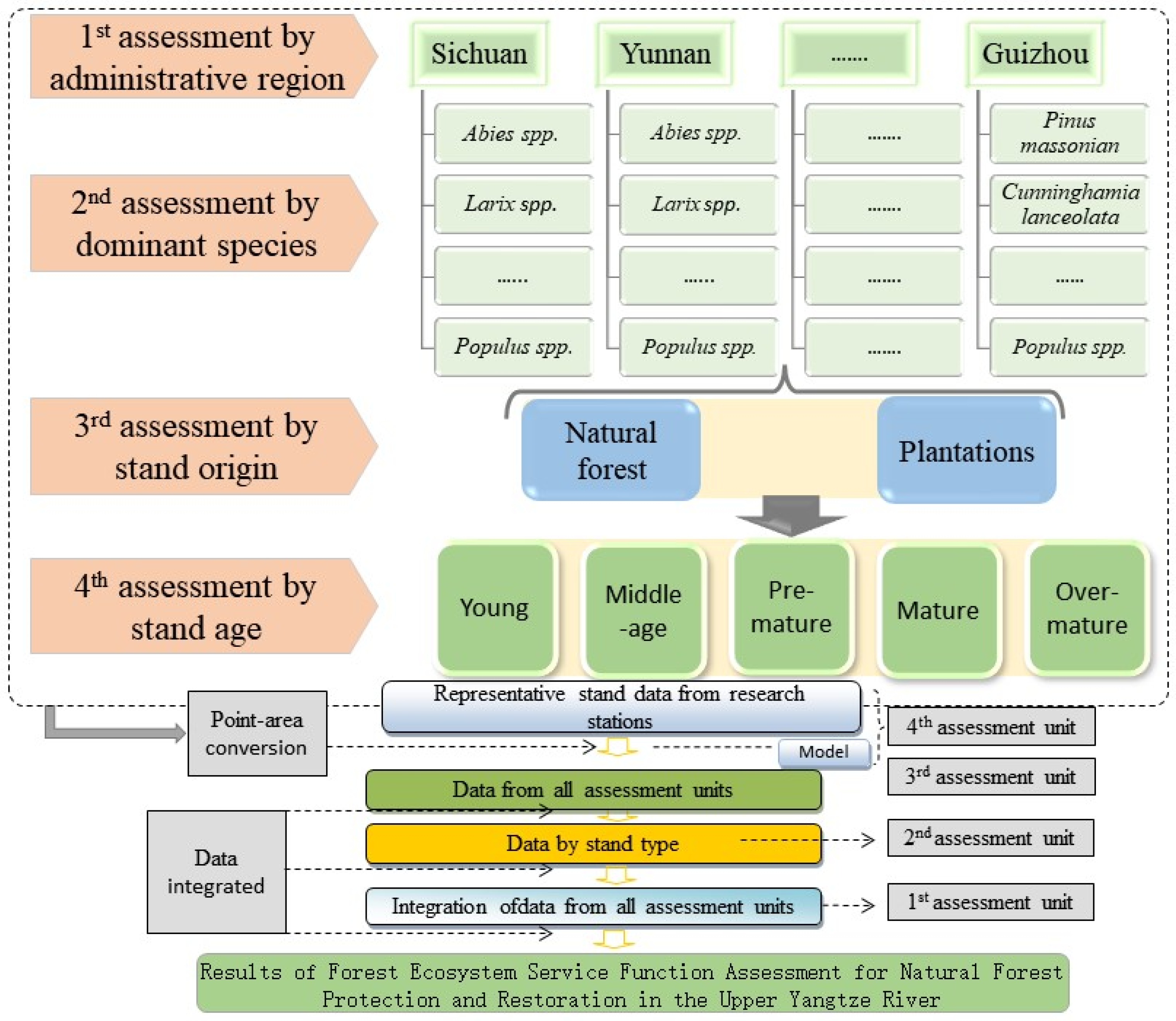 Forests 14 01599 g002