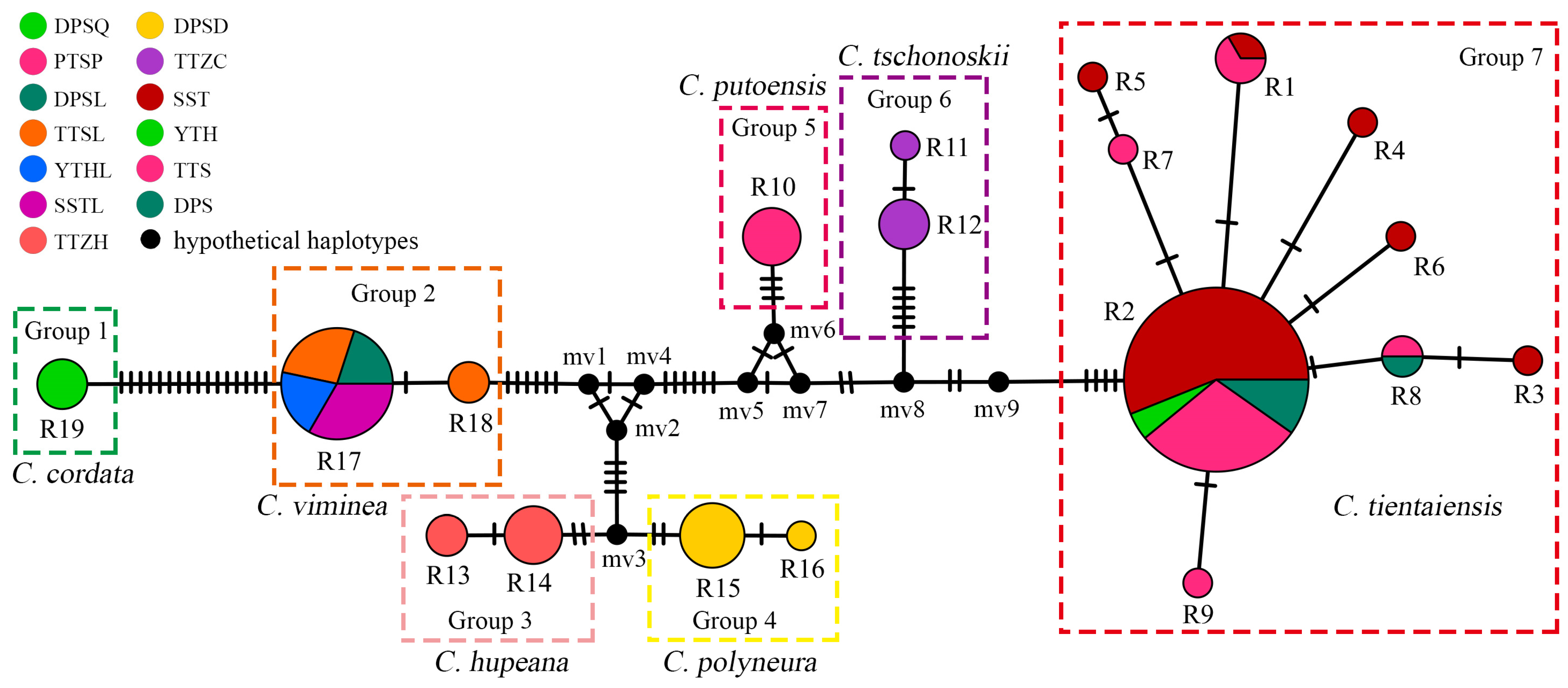 Forests 14 01600 g006