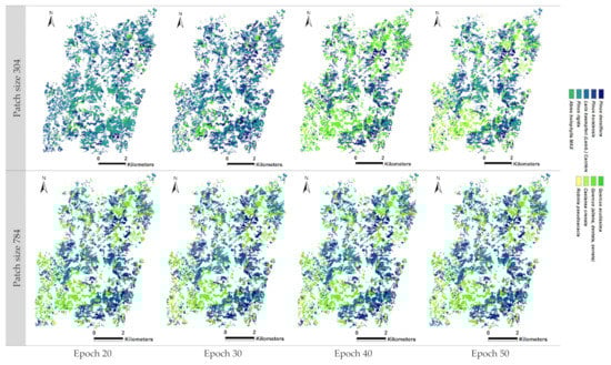 Forests 14 01602 g0a5