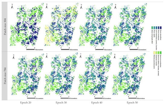 Forests 14 01602 g0a6
