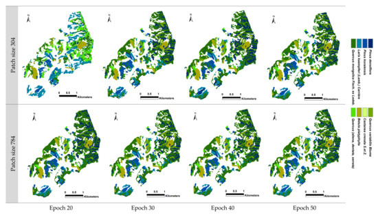 Forests 14 01602 g0a7