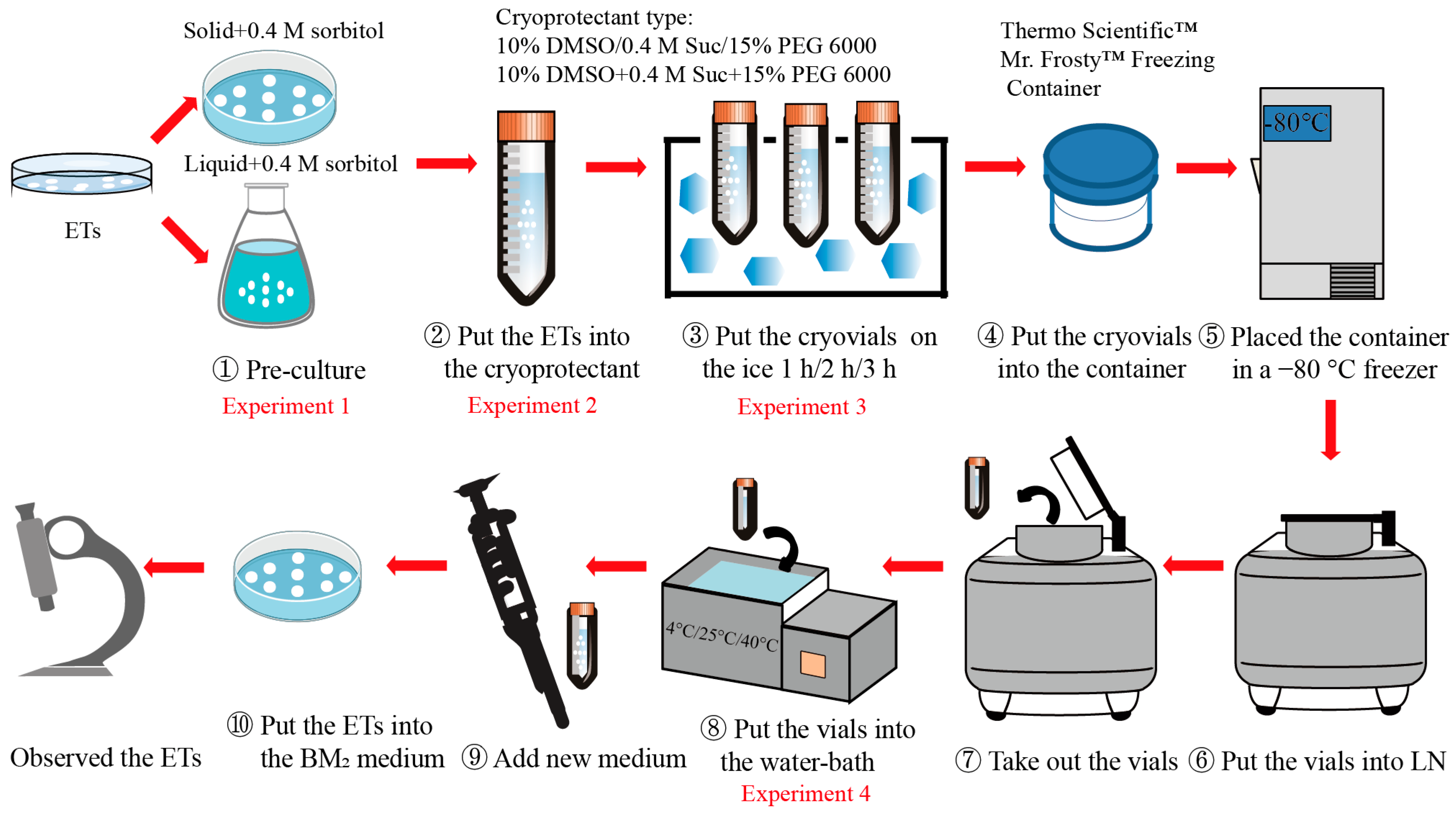 Forests 14 01621 g001 Forests 14 01621 g001