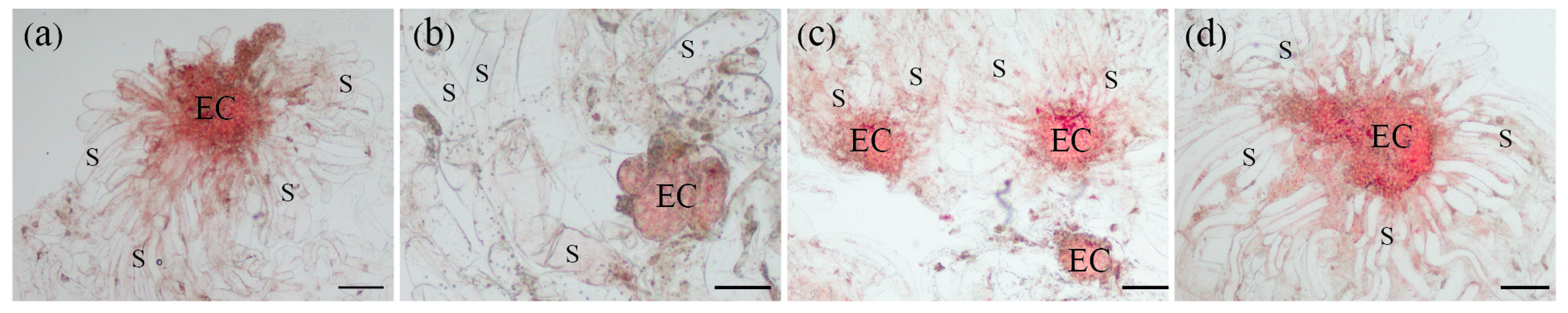 Forests 14 01621 g006 Forests 14 01621 g006