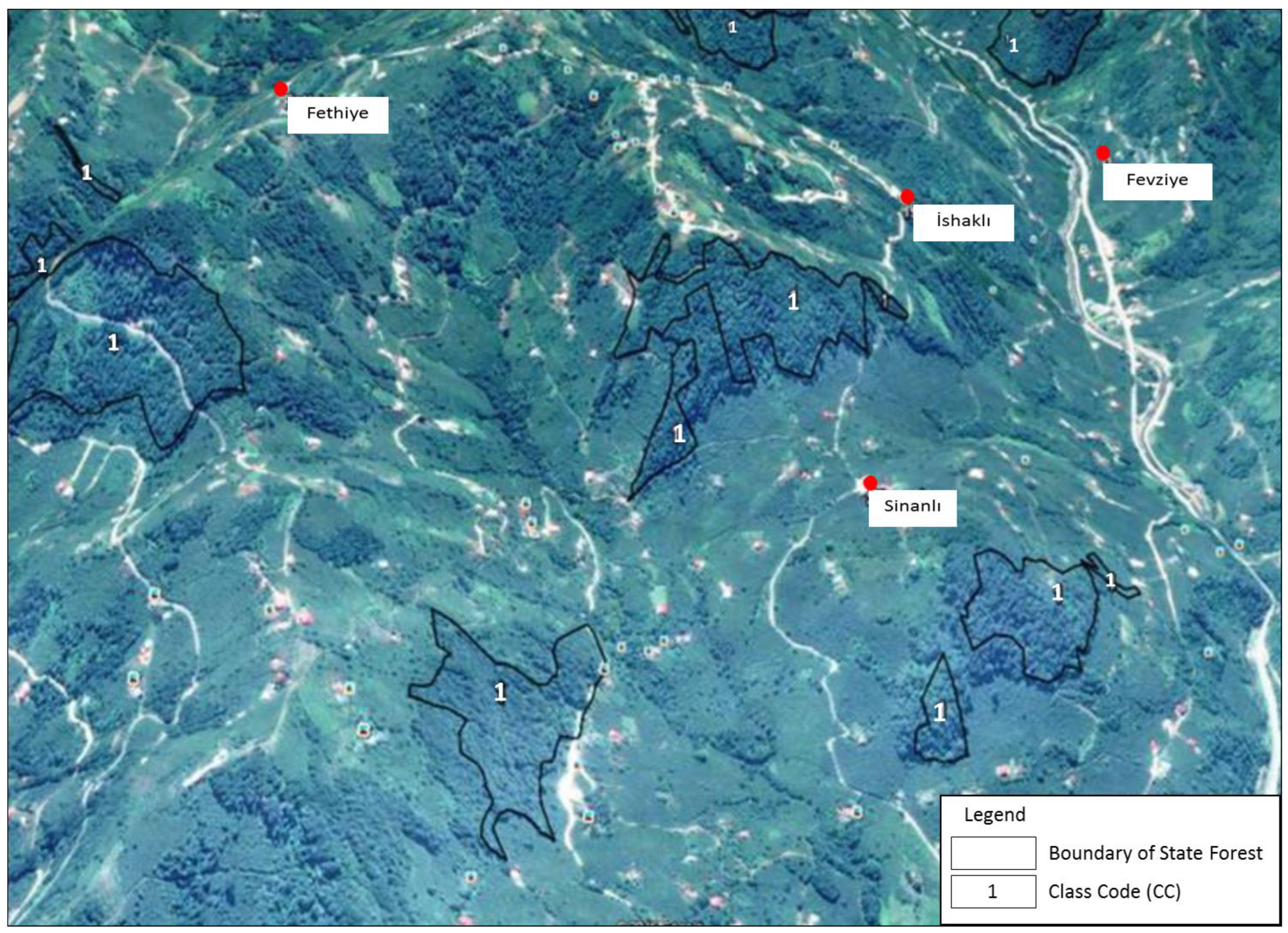 Forests 14 01622 g005