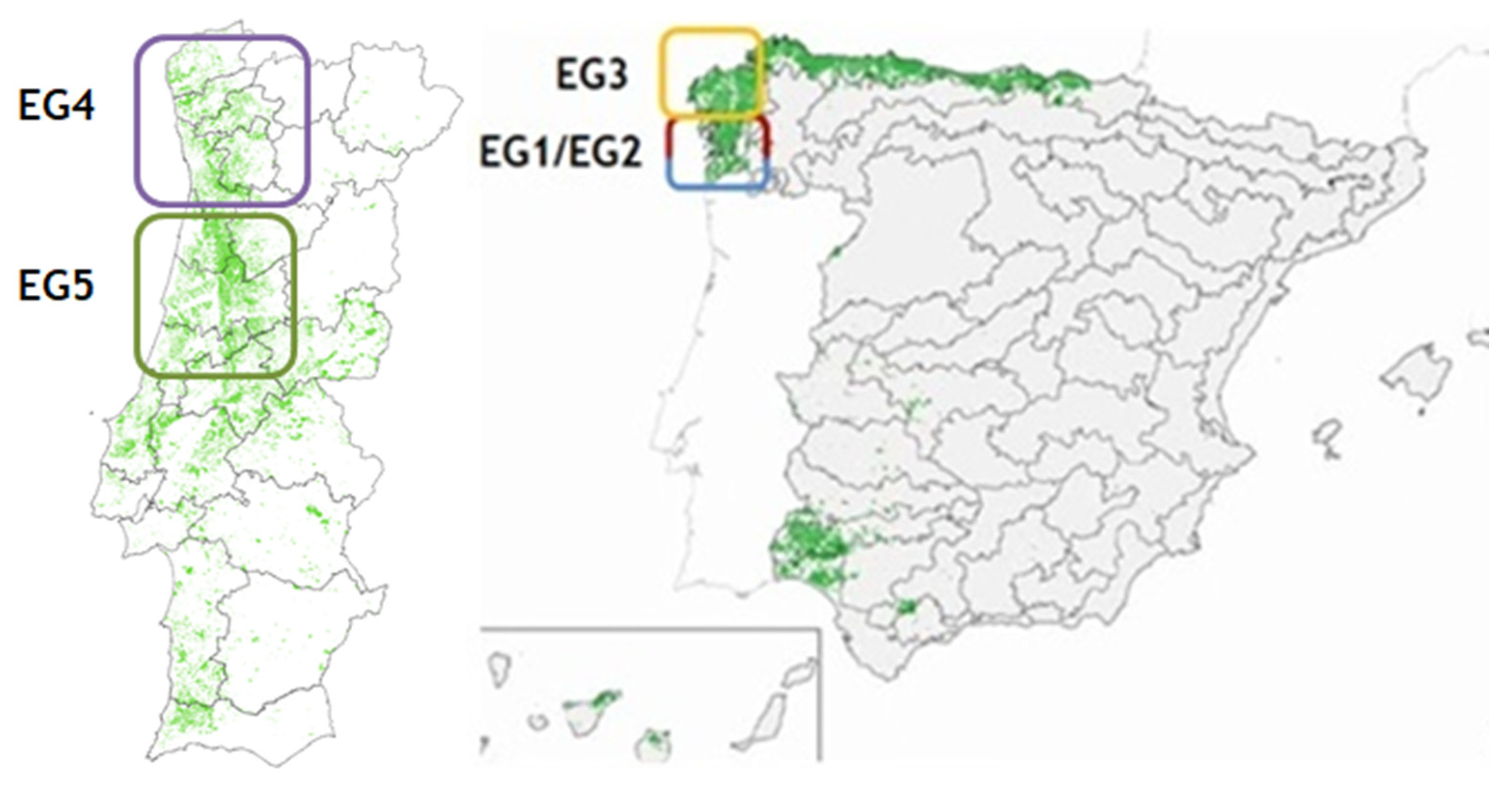 Forests 14 01623 g001 Forests 14 01623 g001