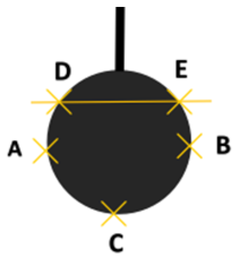 Forests 14 01625 g002 Forests 14 01625 g002