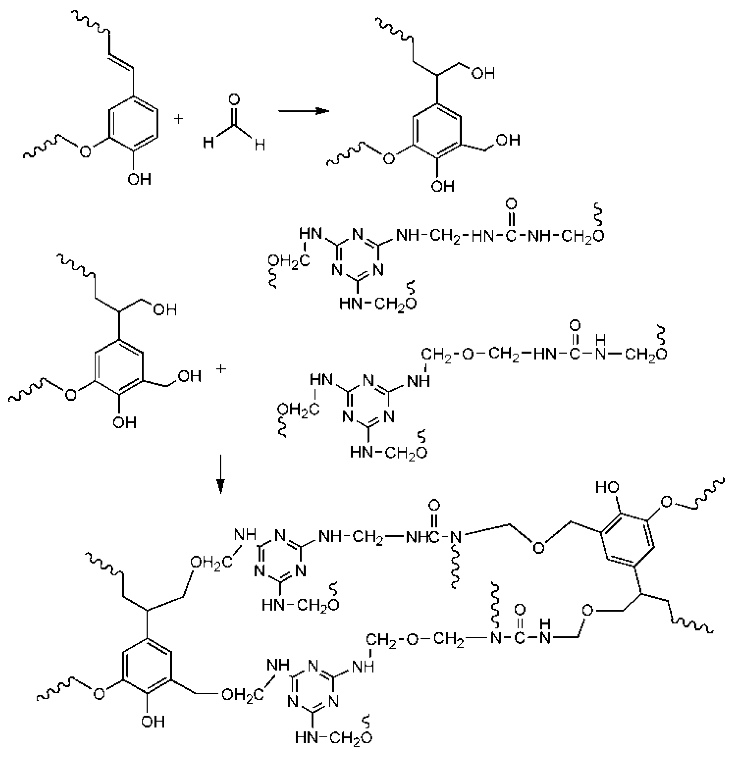 Forests 14 01625 g013 Forests 14 01625 g013