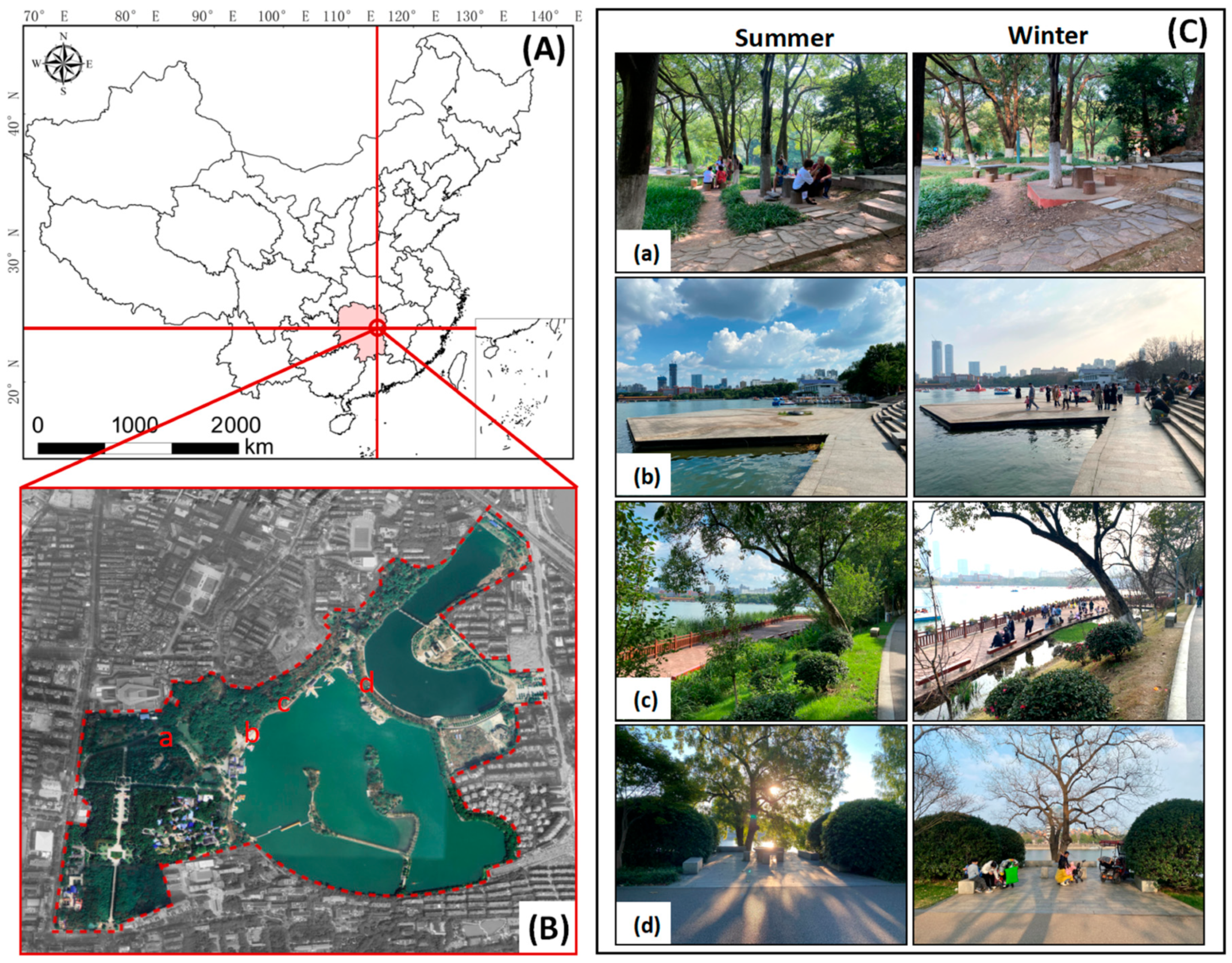Forests 14 01627 g001 Forests 14 01627 g001