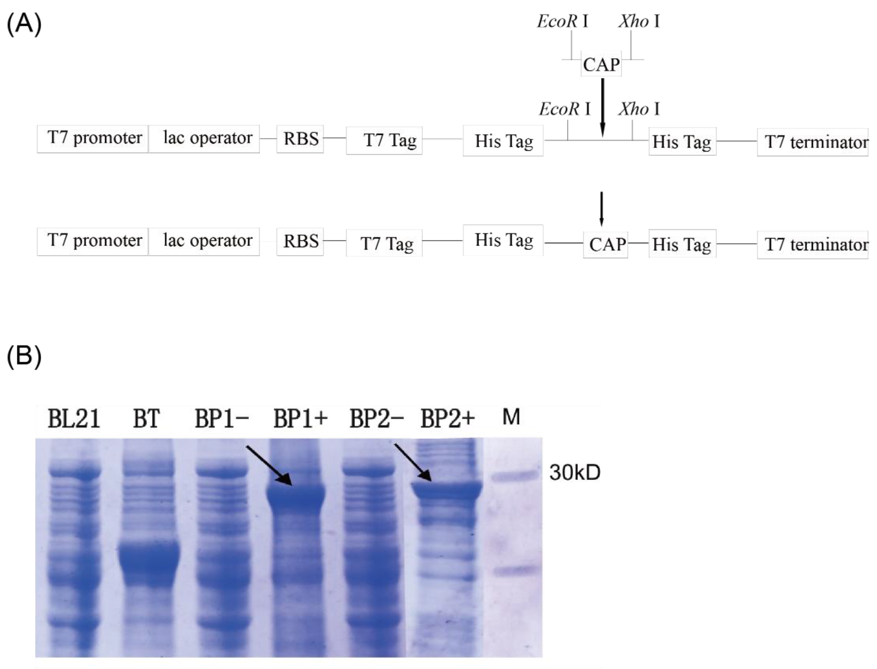 Forests 14 01632 g006
