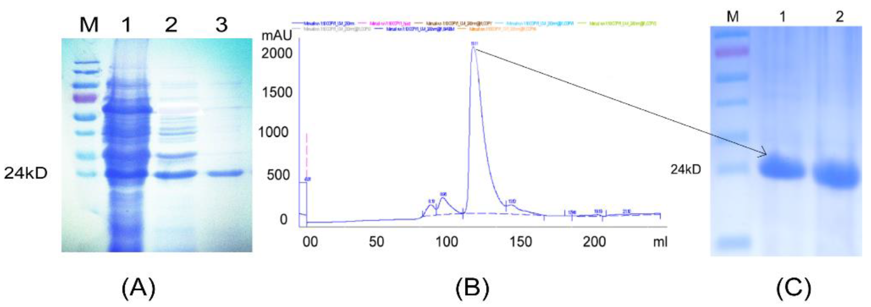 Forests 14 01632 g008