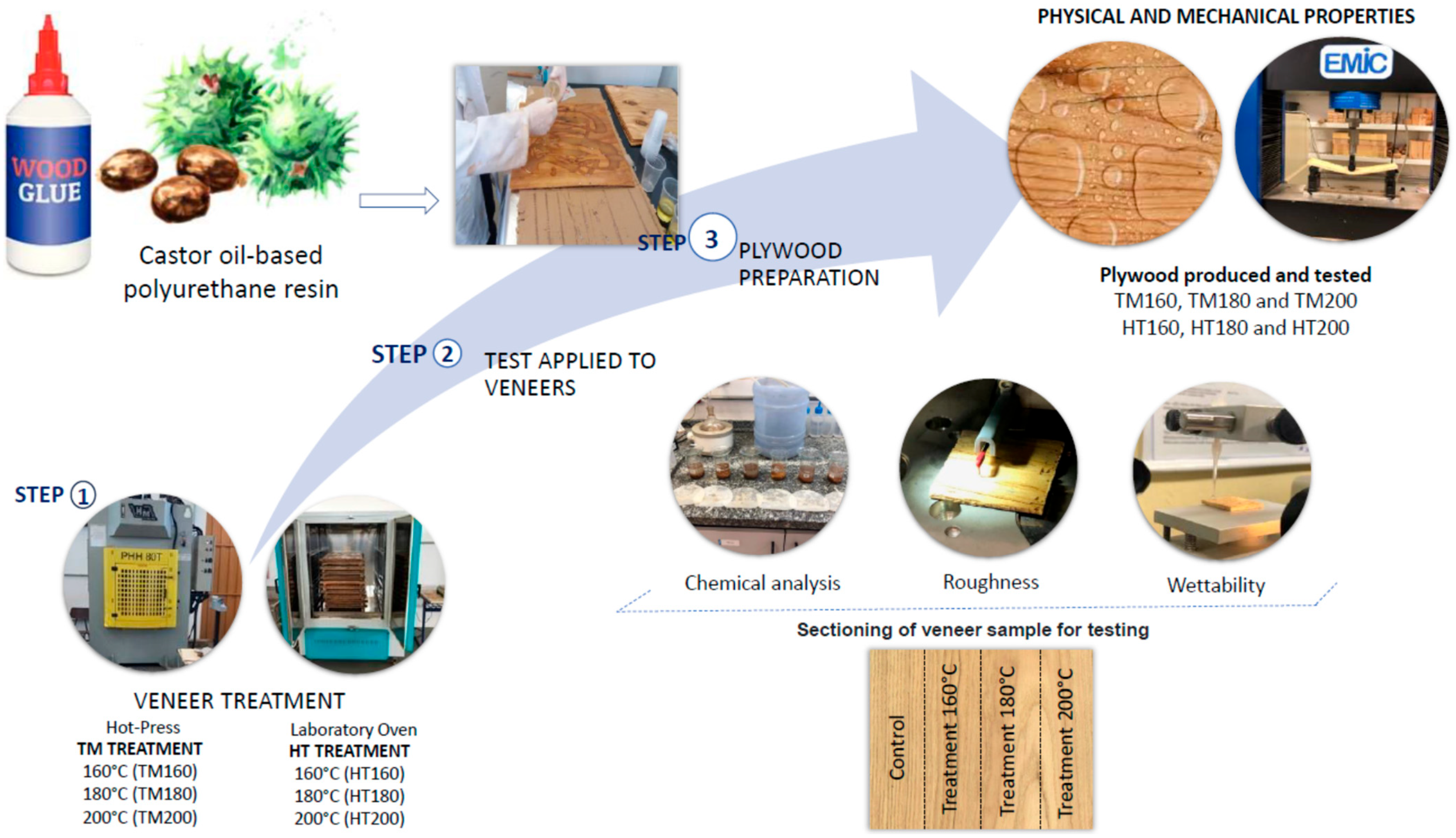 Forests 14 01635 g001