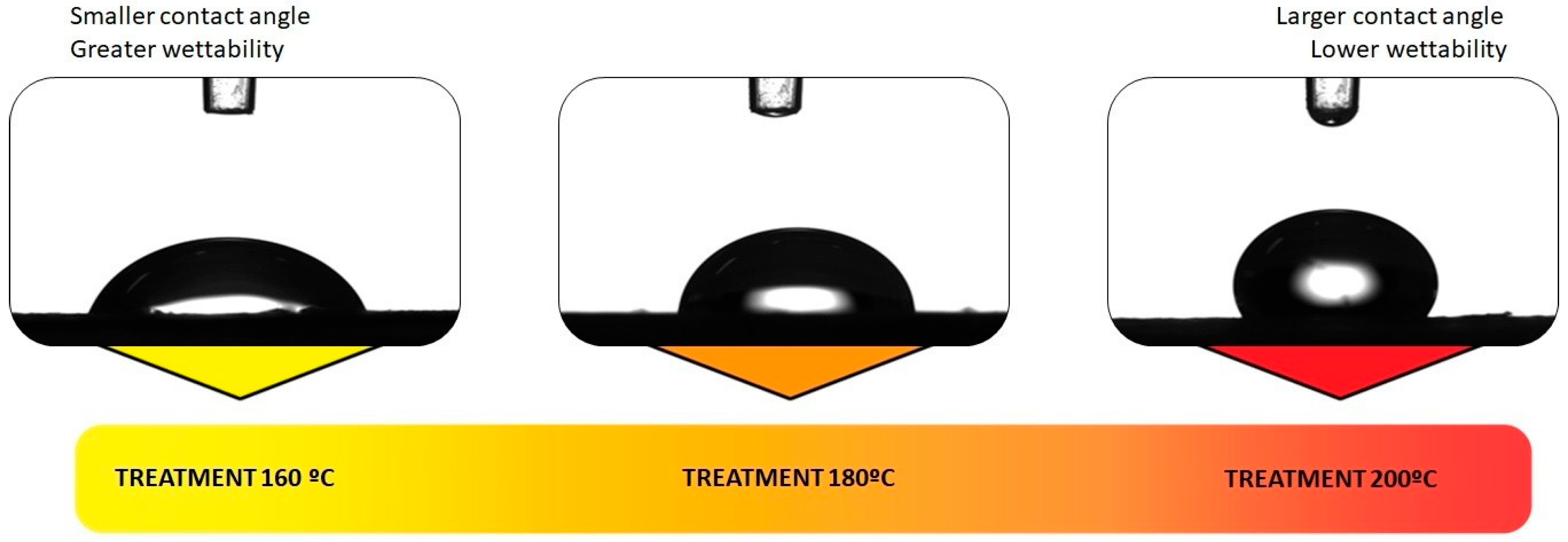 Forests 14 01635 g004