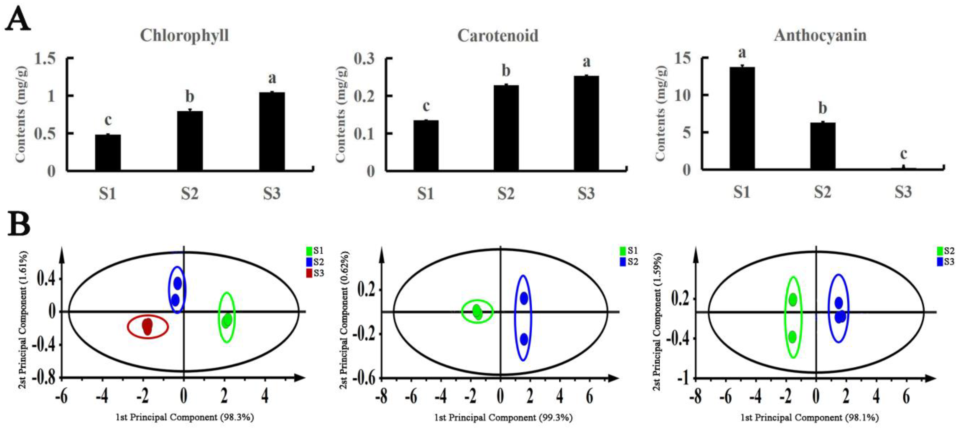 Forests 14 01638 g002