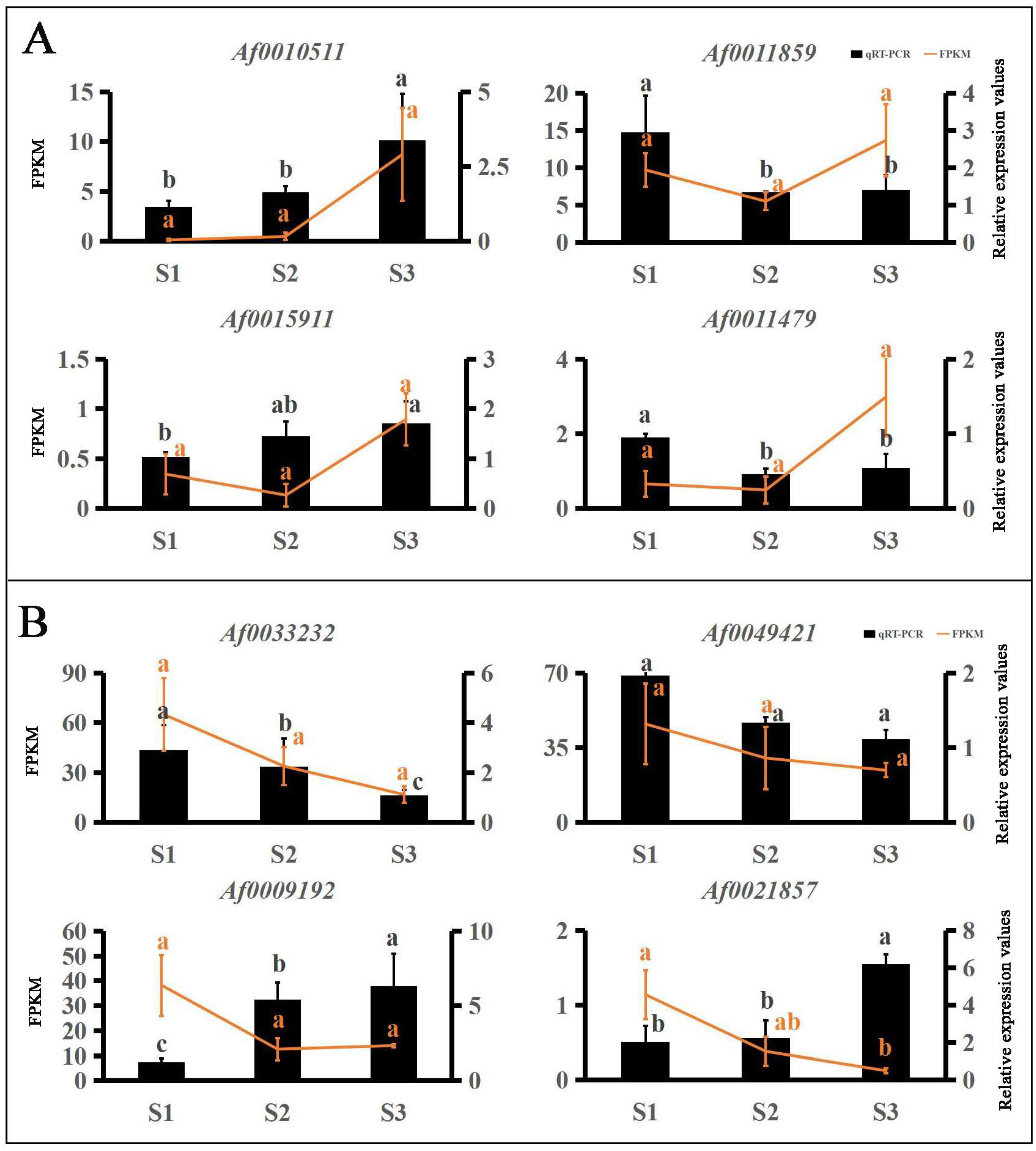 Forests 14 01638 g005