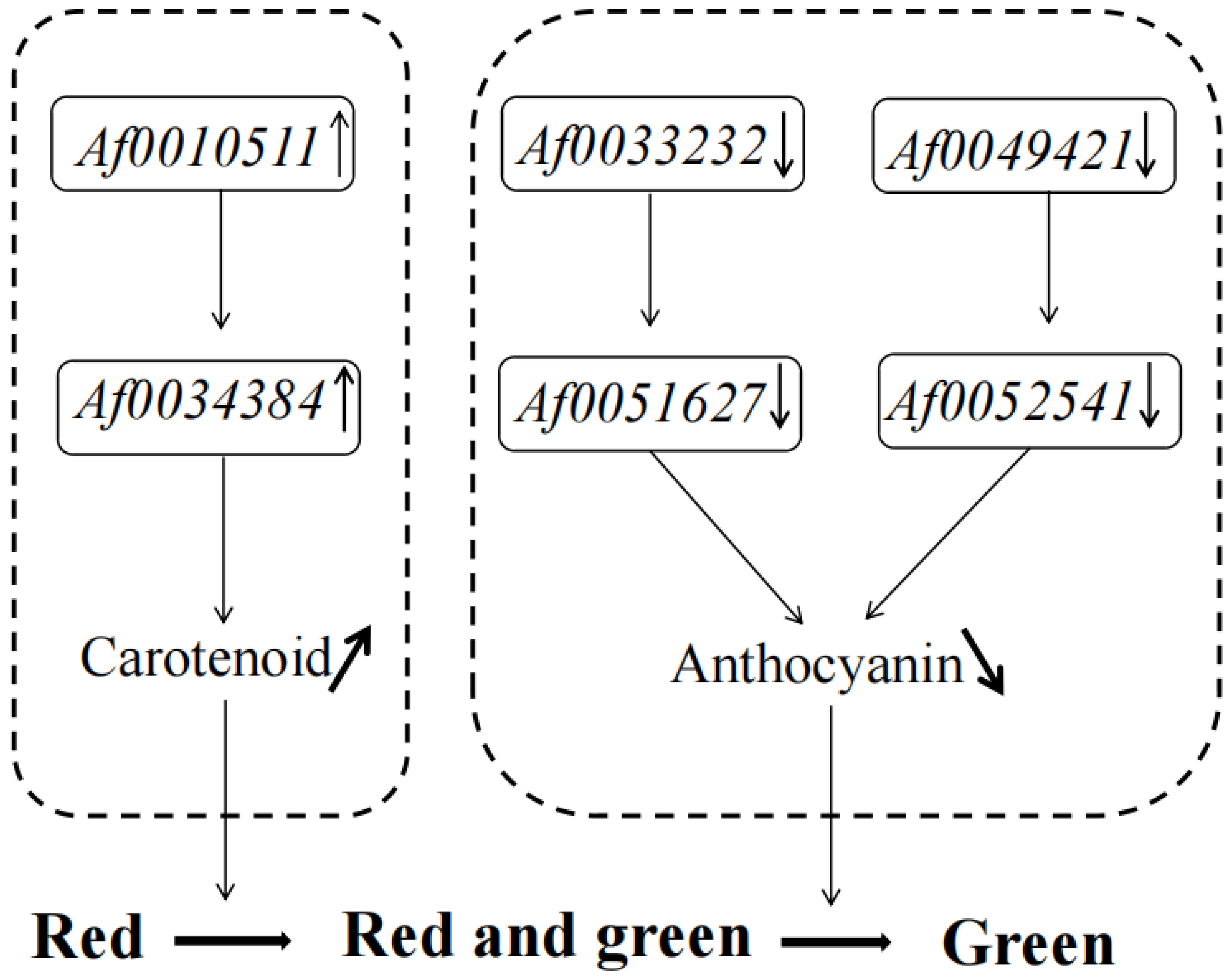 Forests 14 01638 g008